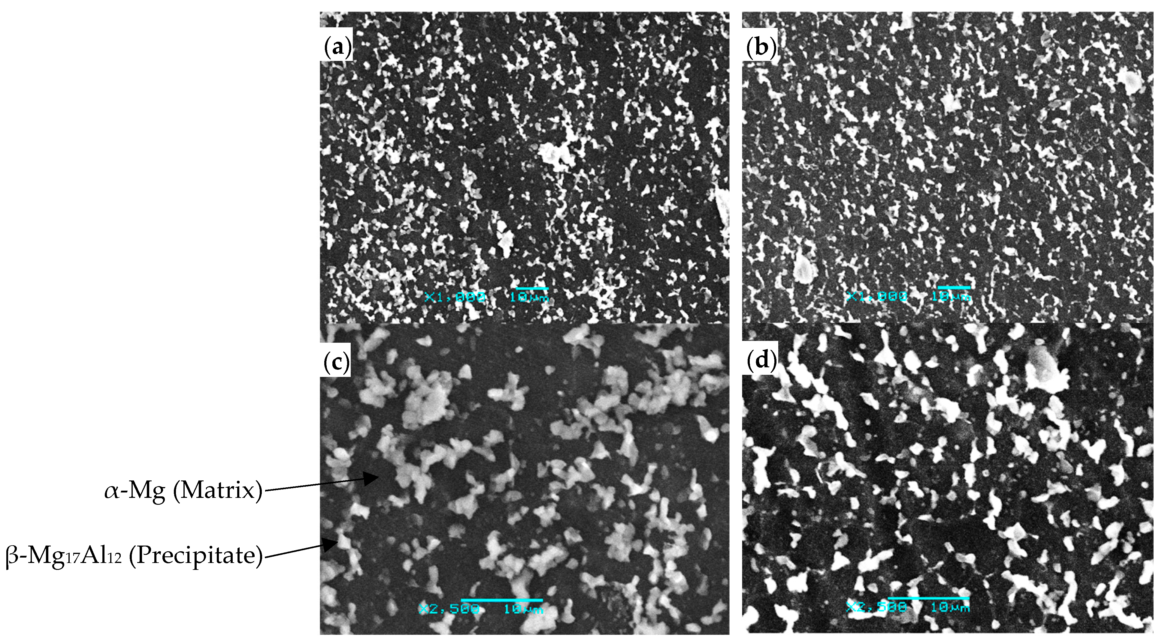 Metals 11 01290 g008