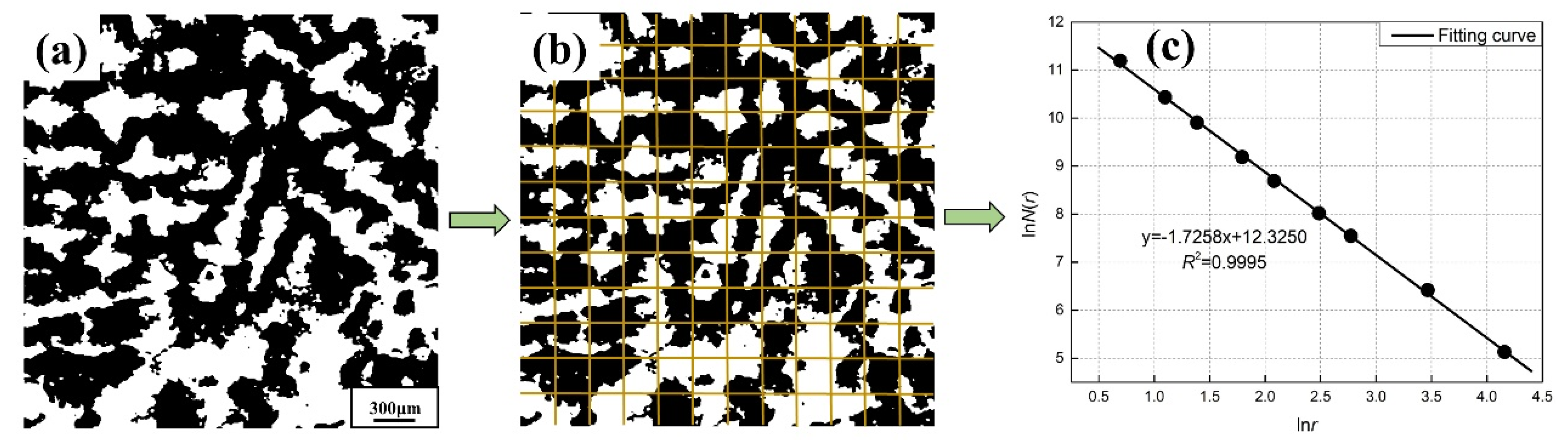 Metals 11 01291 g002