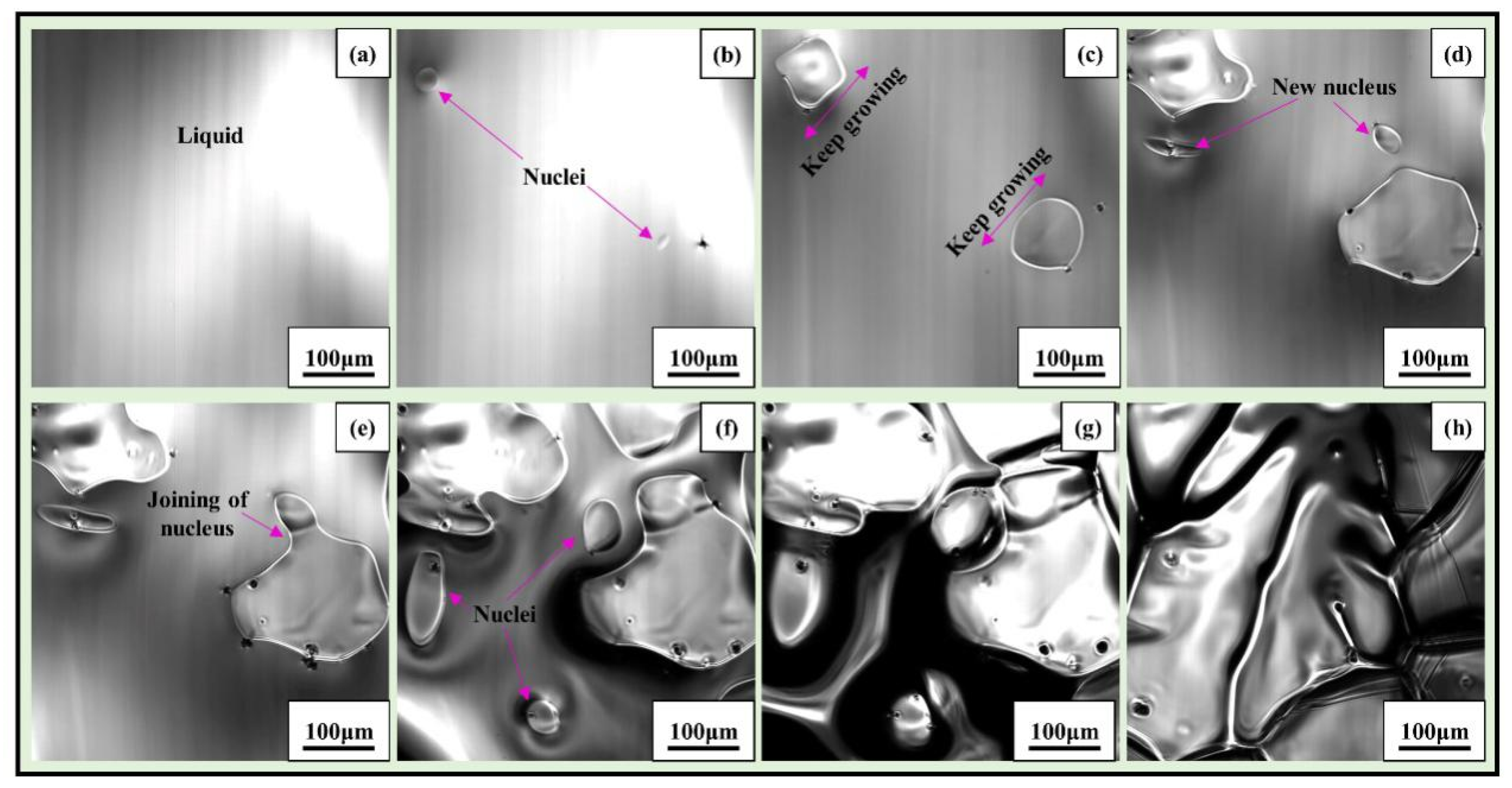 Metals 11 01291 g004