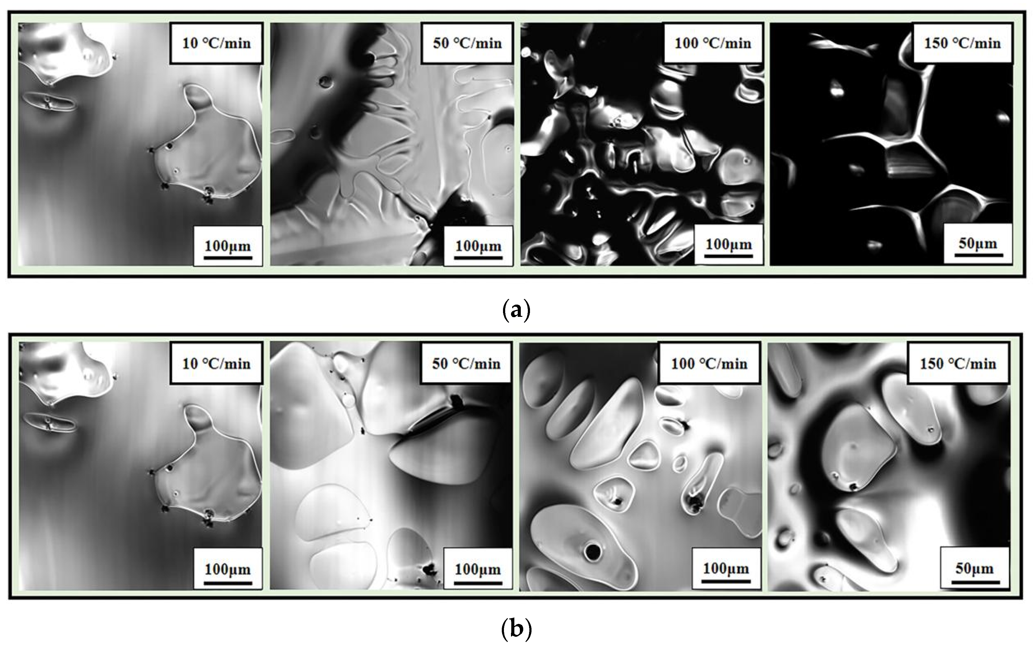 Metals 11 01291 g005