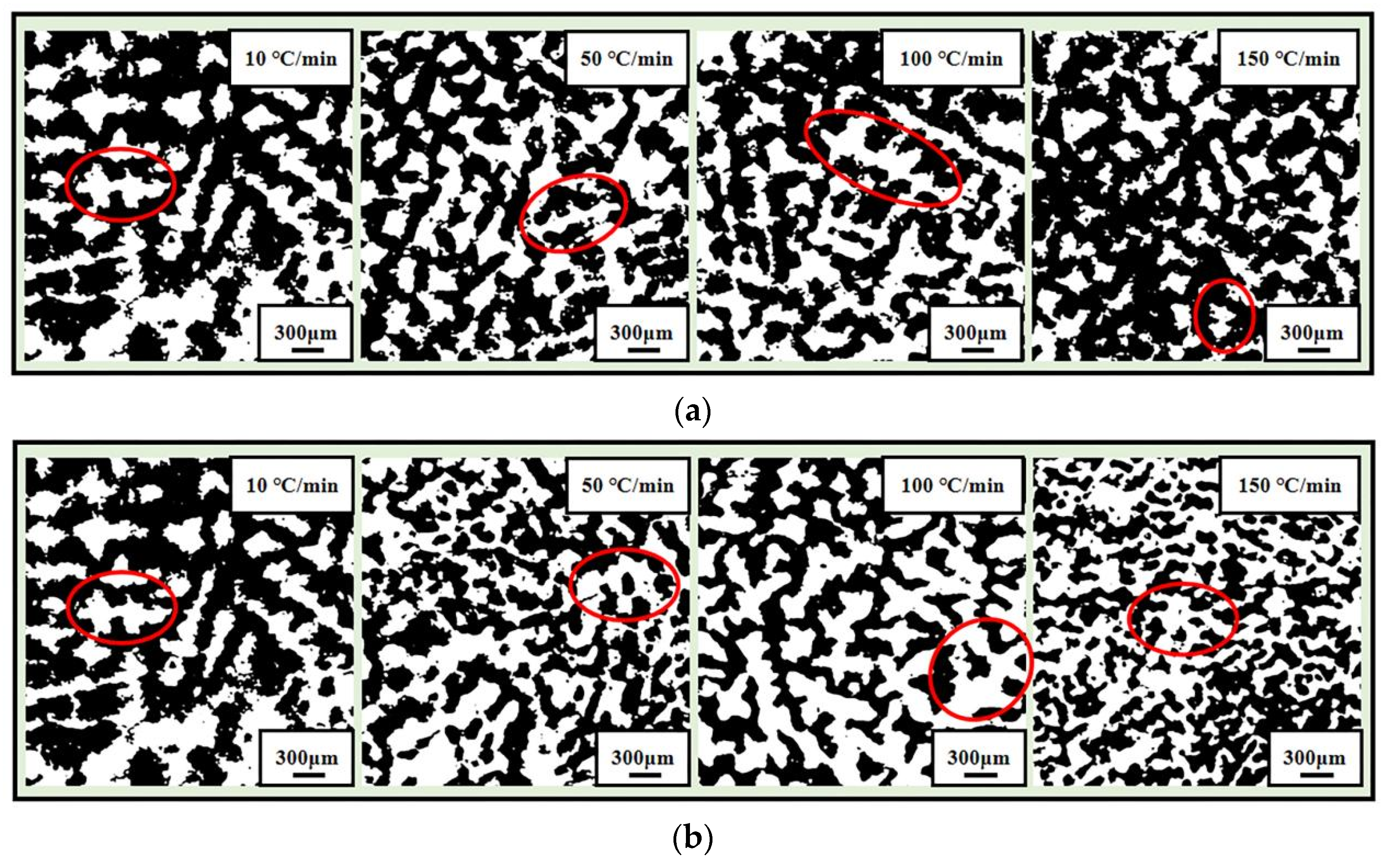 Metals 11 01291 g006