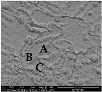 Metals 11 01295 i001