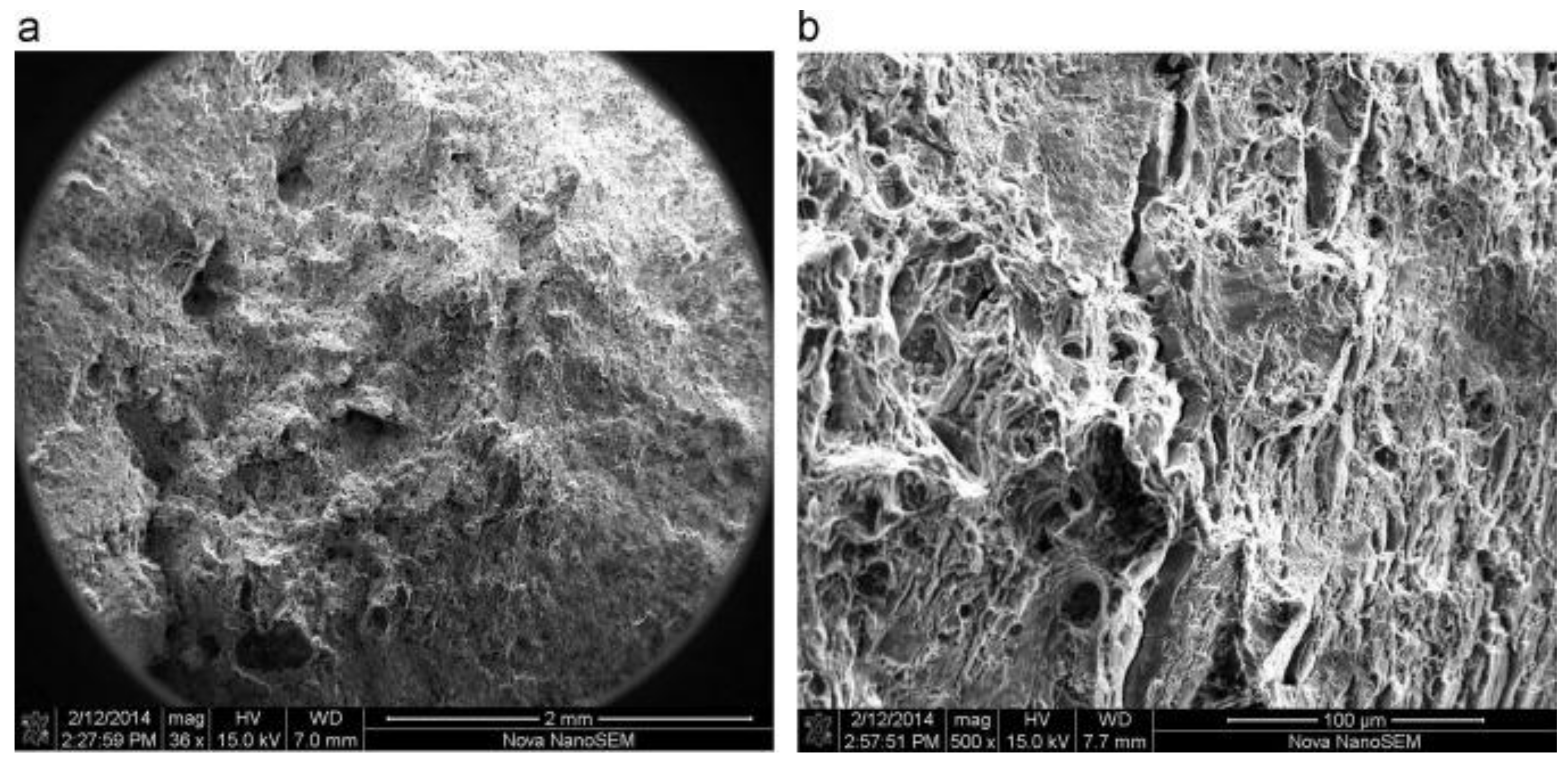 Metals 11 01303 g010