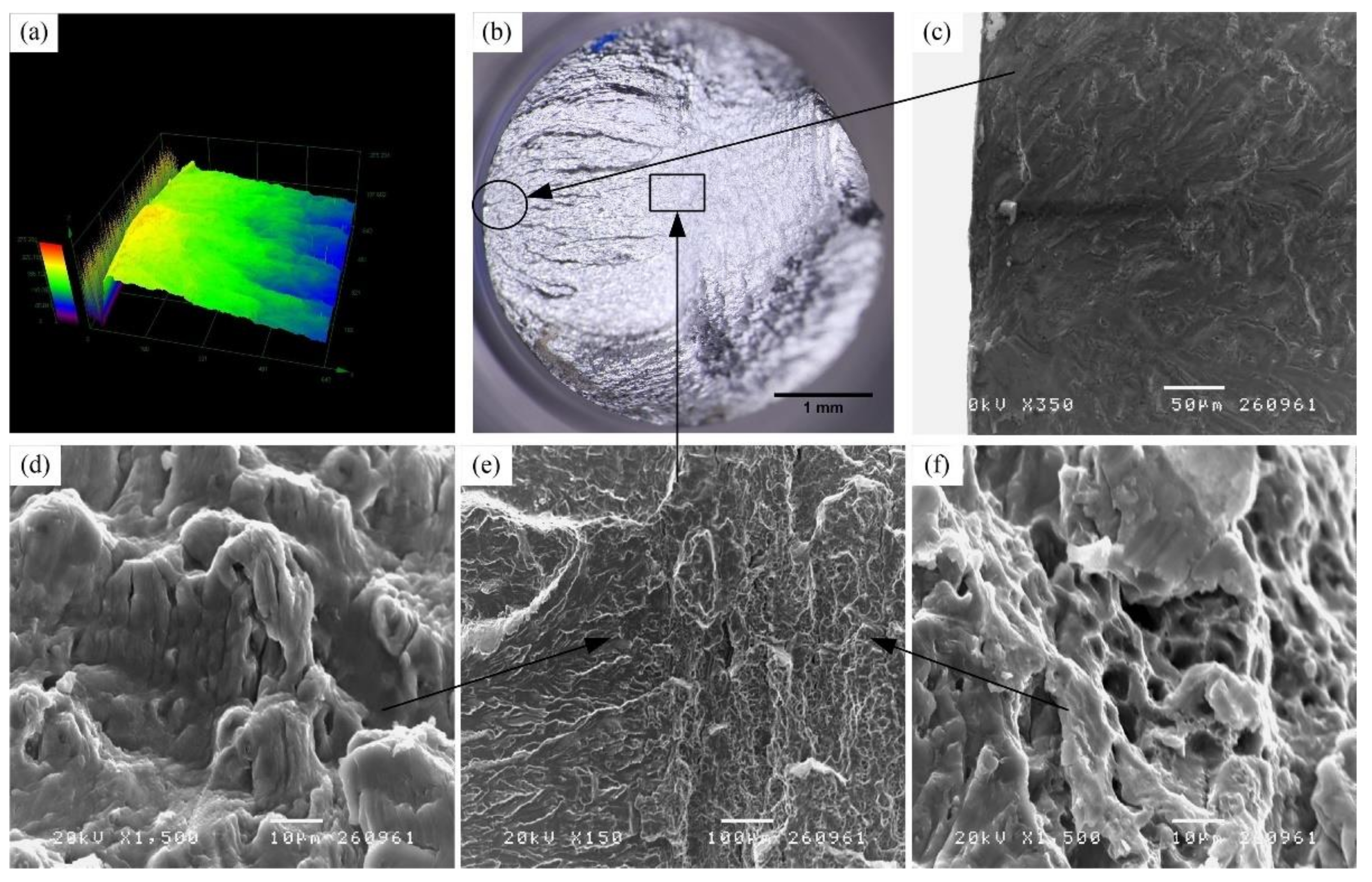 Metals 11 01303 g012