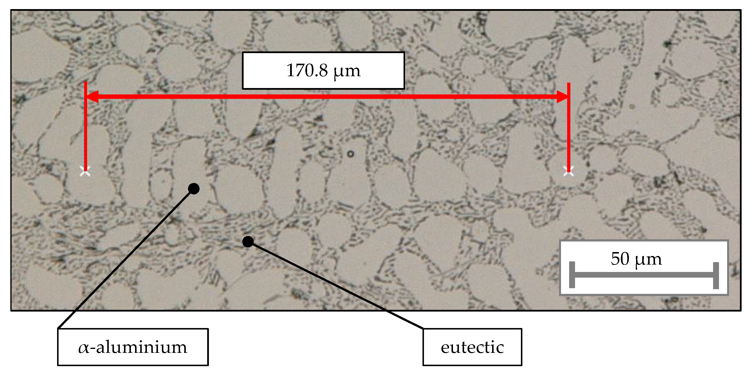Metals 11 01304 g004