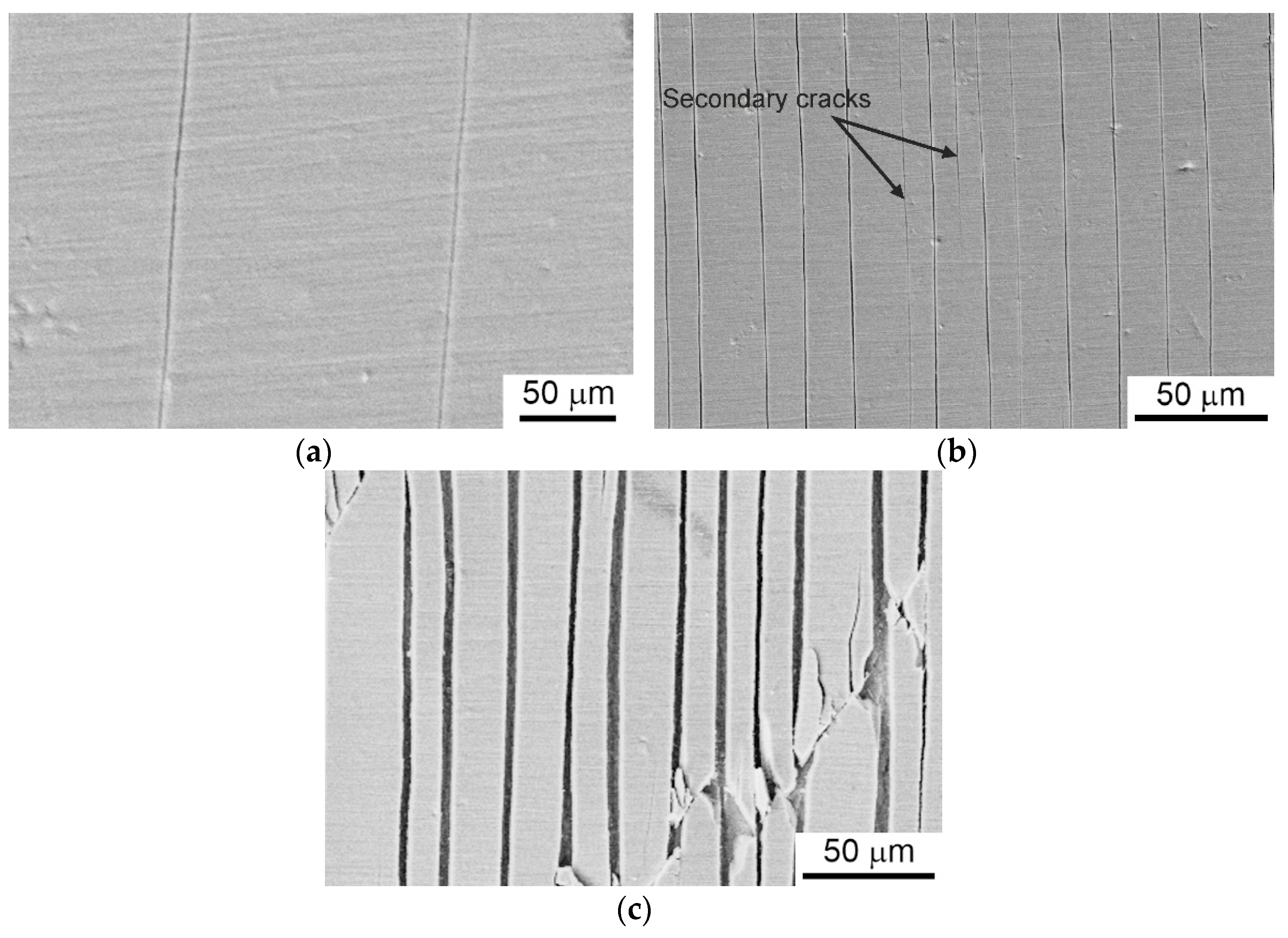 Metals 11 01307 g003