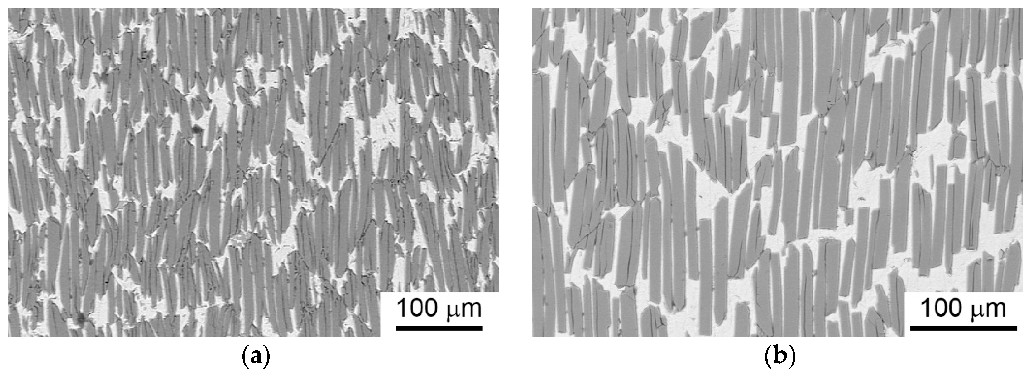 Metals 11 01307 g006a