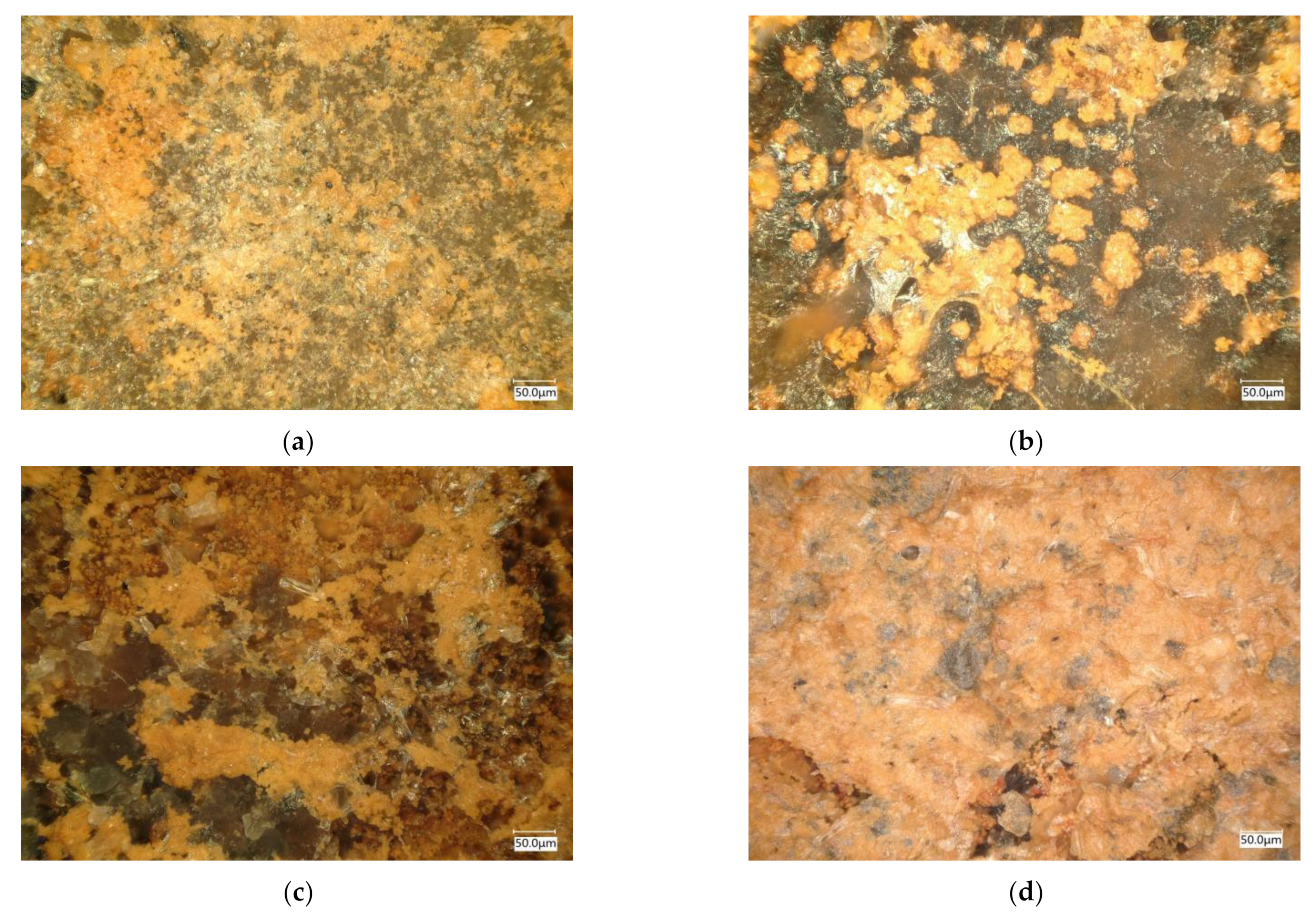 Metals 11 01317 g008