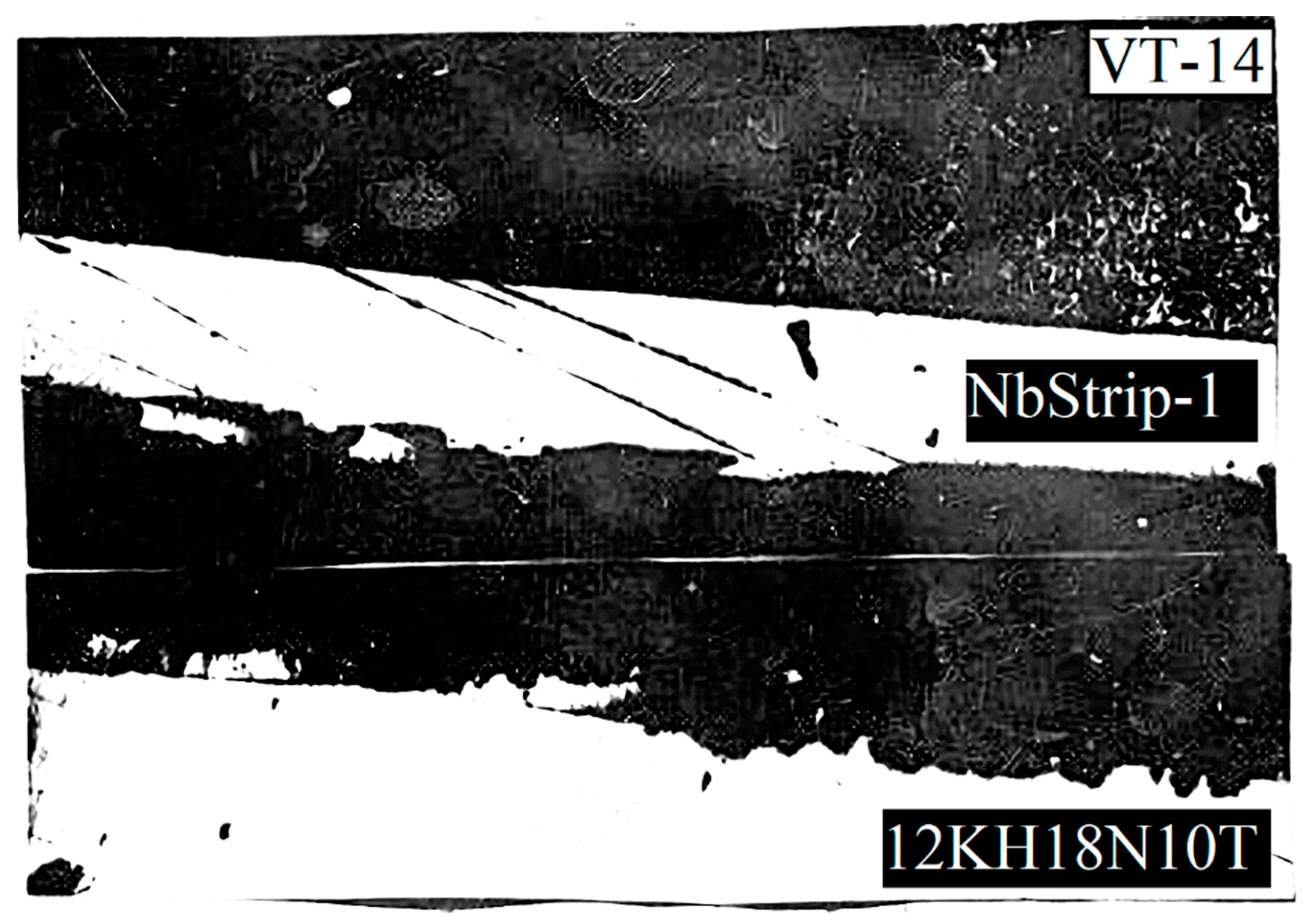 Metals 11 01325 g010