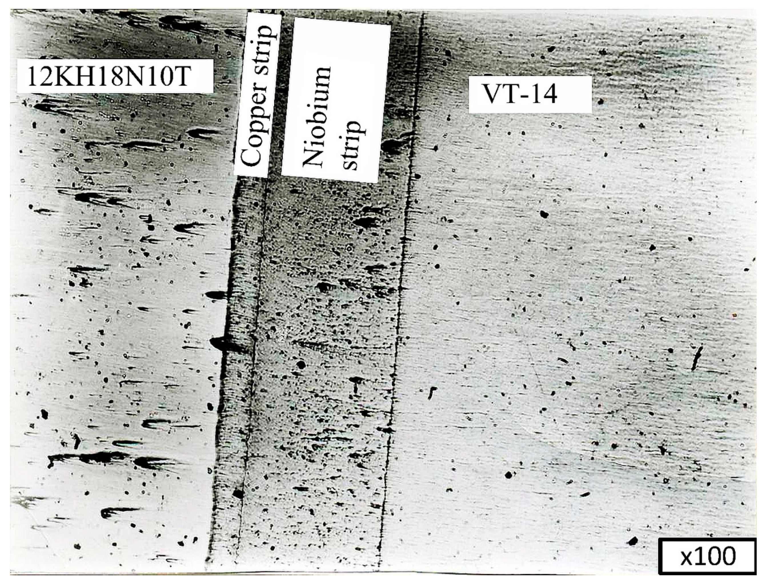 Metals 11 01325 g012