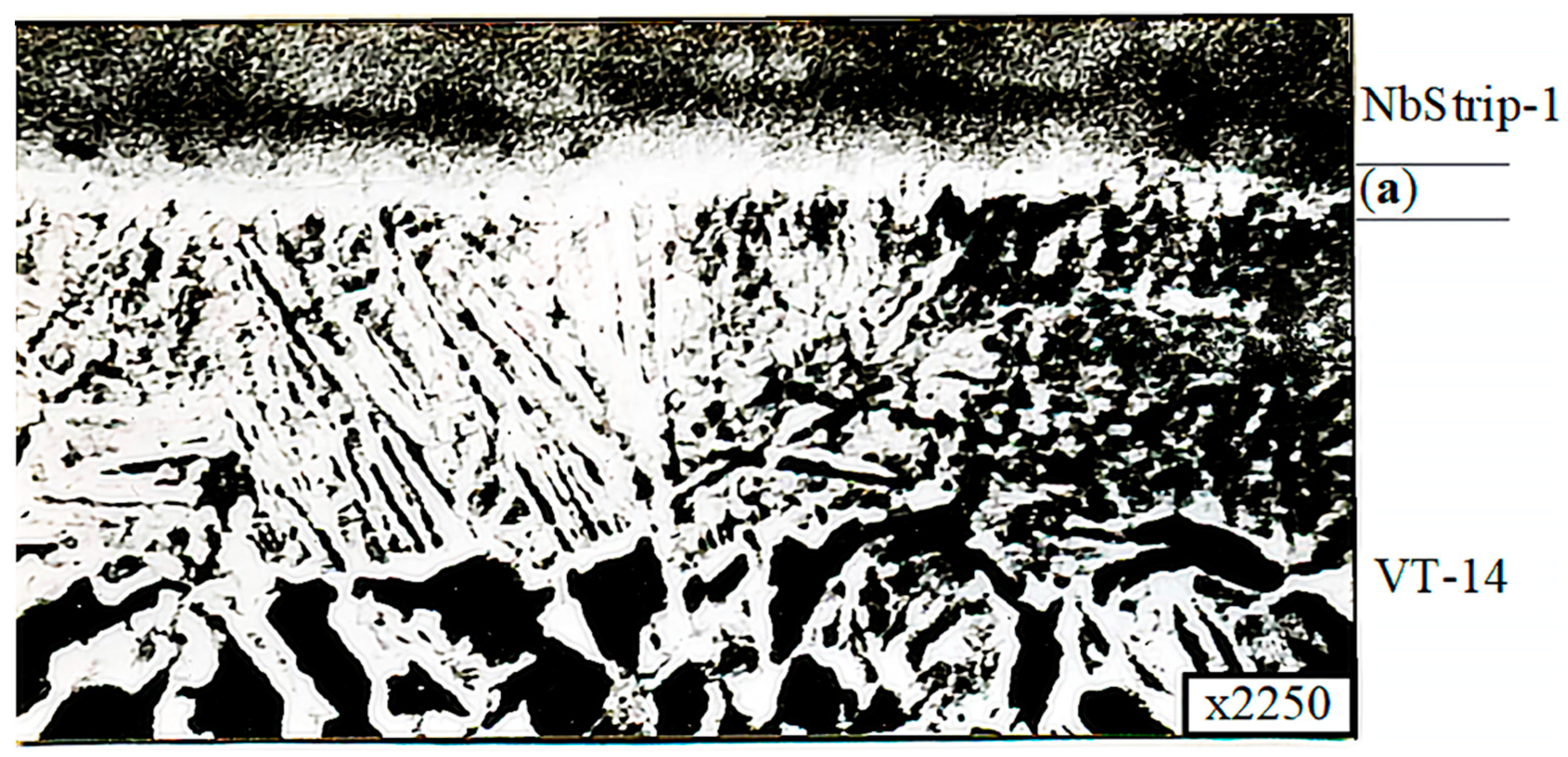 Metals 11 01325 g019