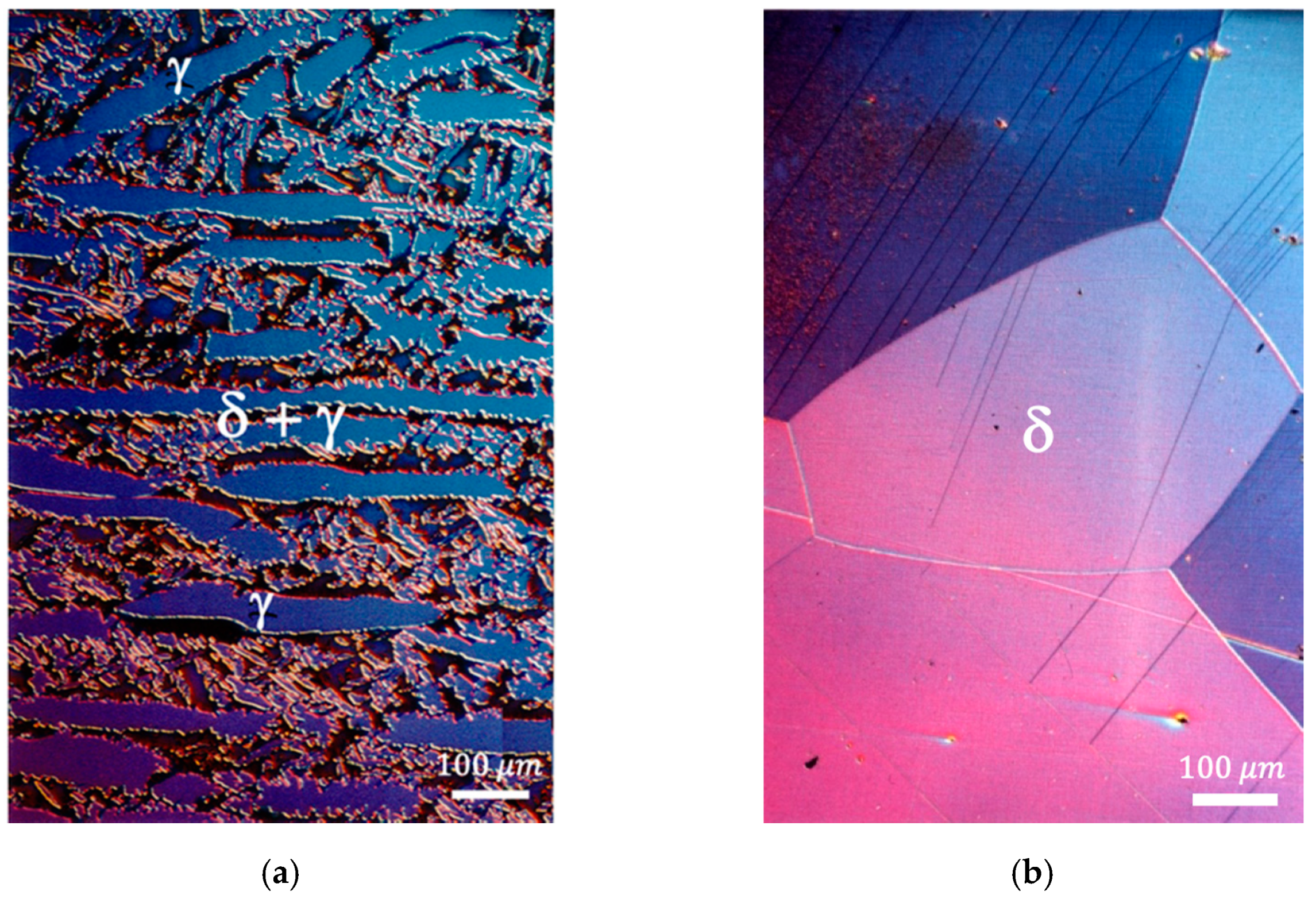 Metals 11 01340 g001