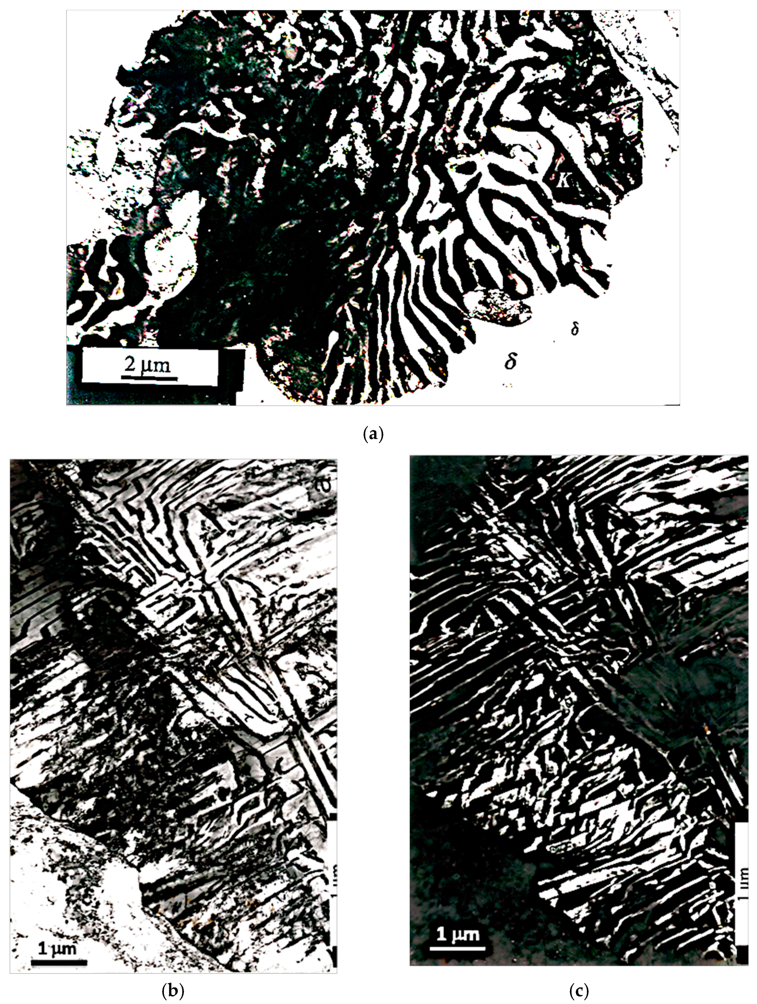 Metals 11 01340 g004