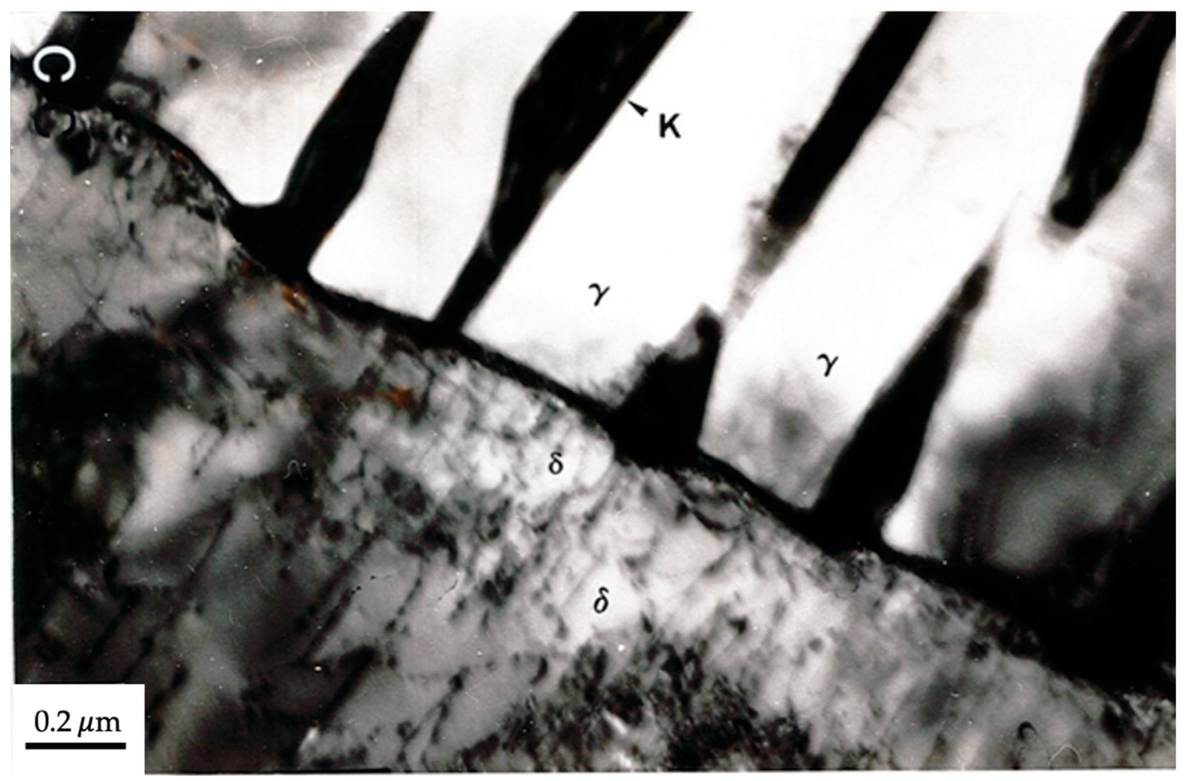 Metals 11 01340 g008