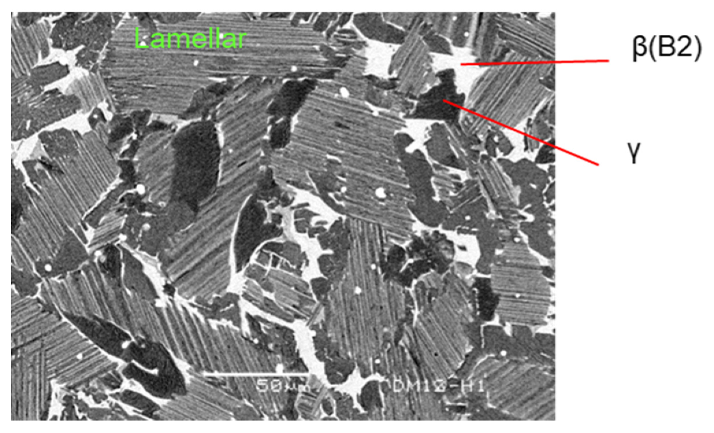 Metals 11 01361 g005