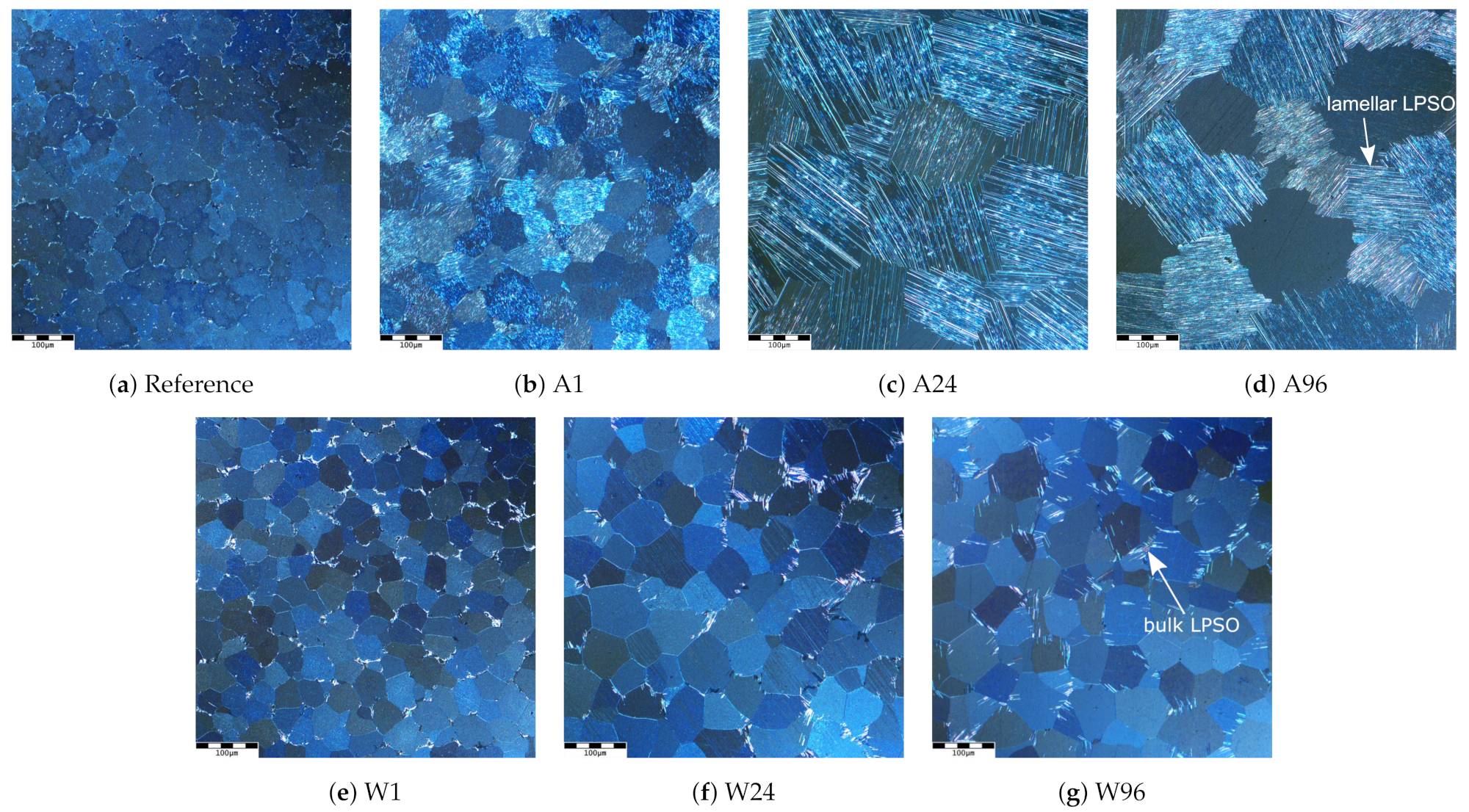 Metals 11 01372 g002