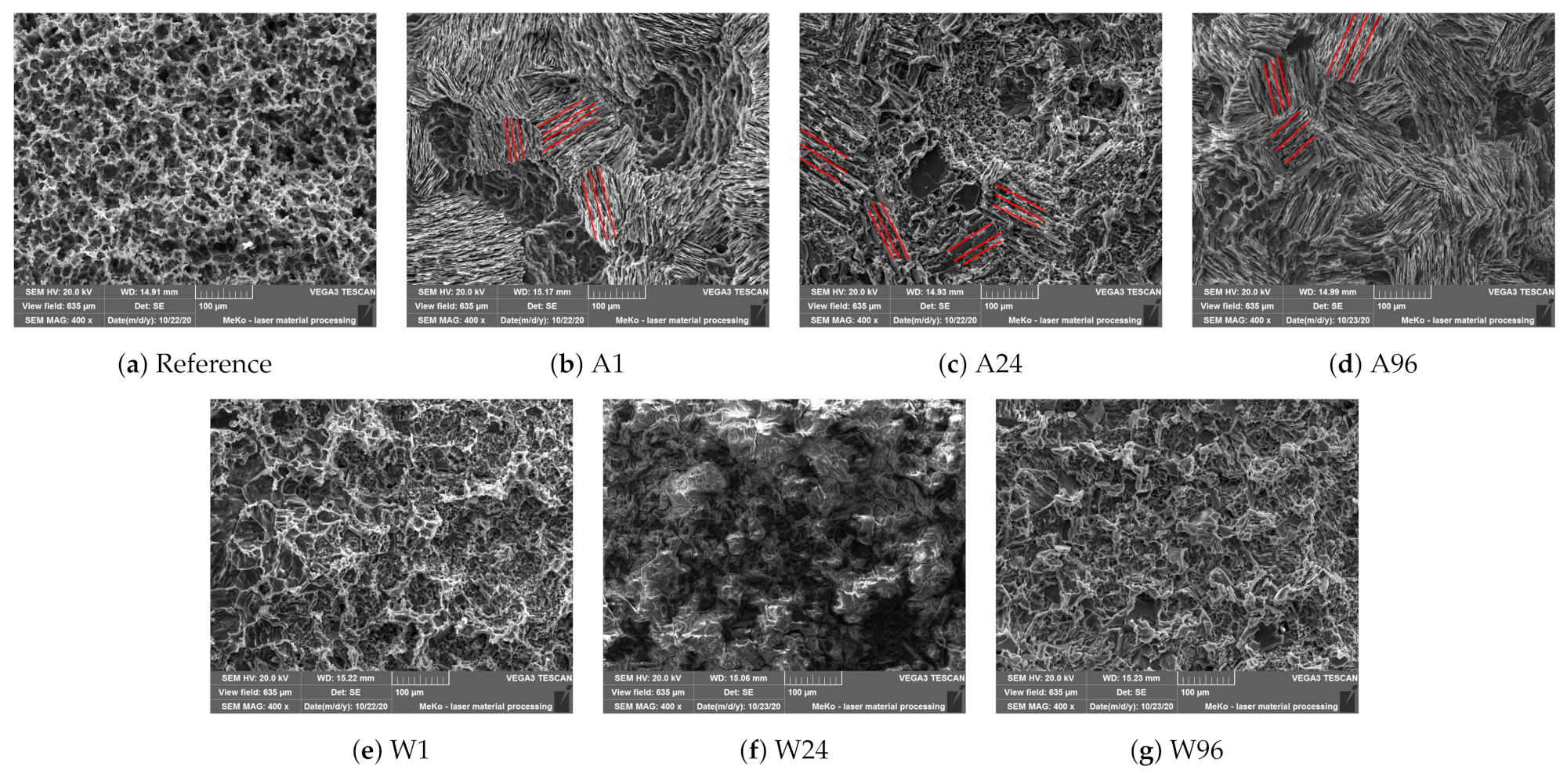 Metals 11 01372 g006