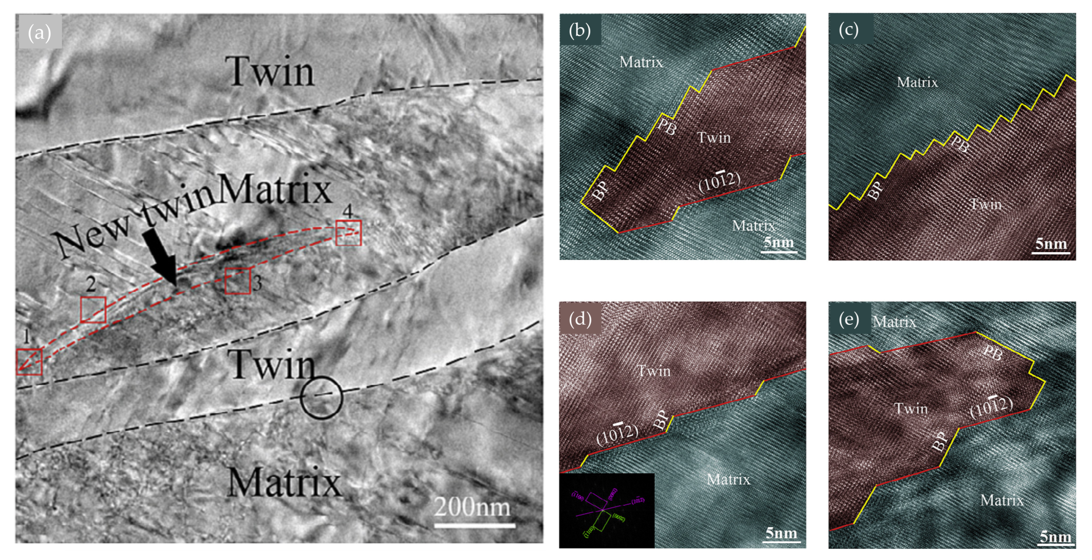 Metals 11 01373 g002