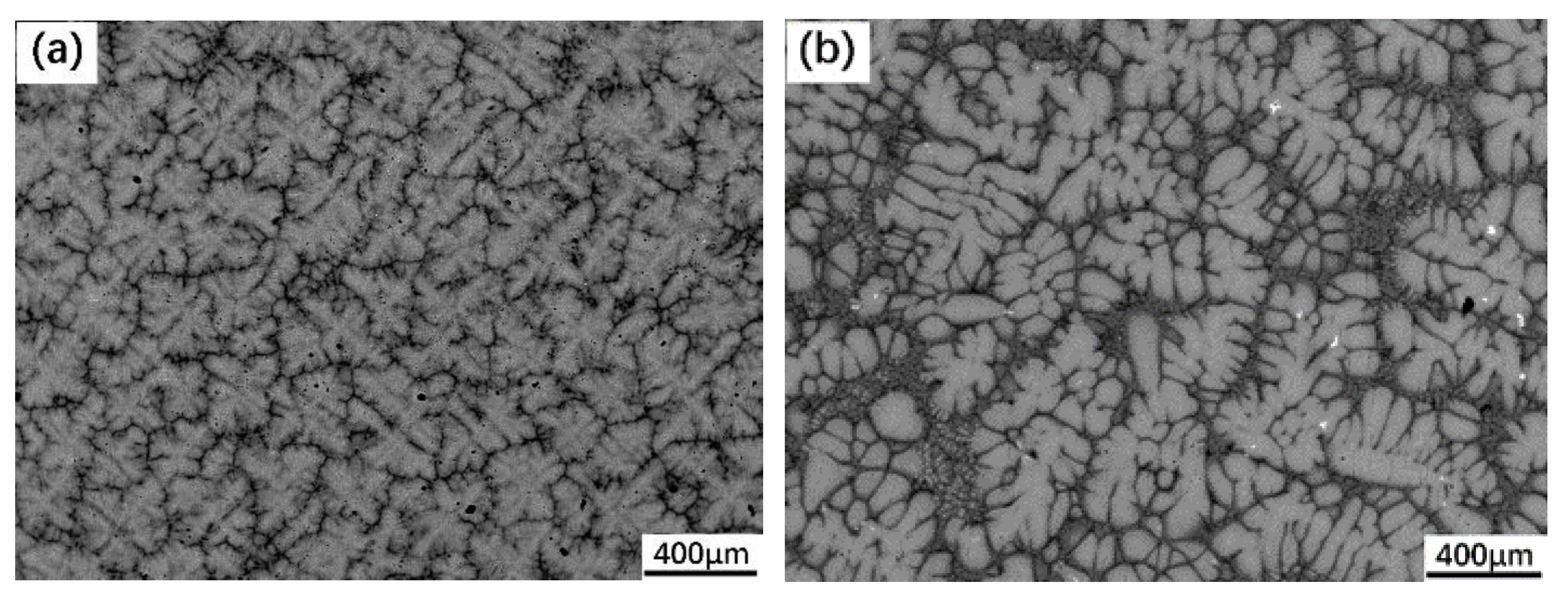 Metals 11 01386 g001