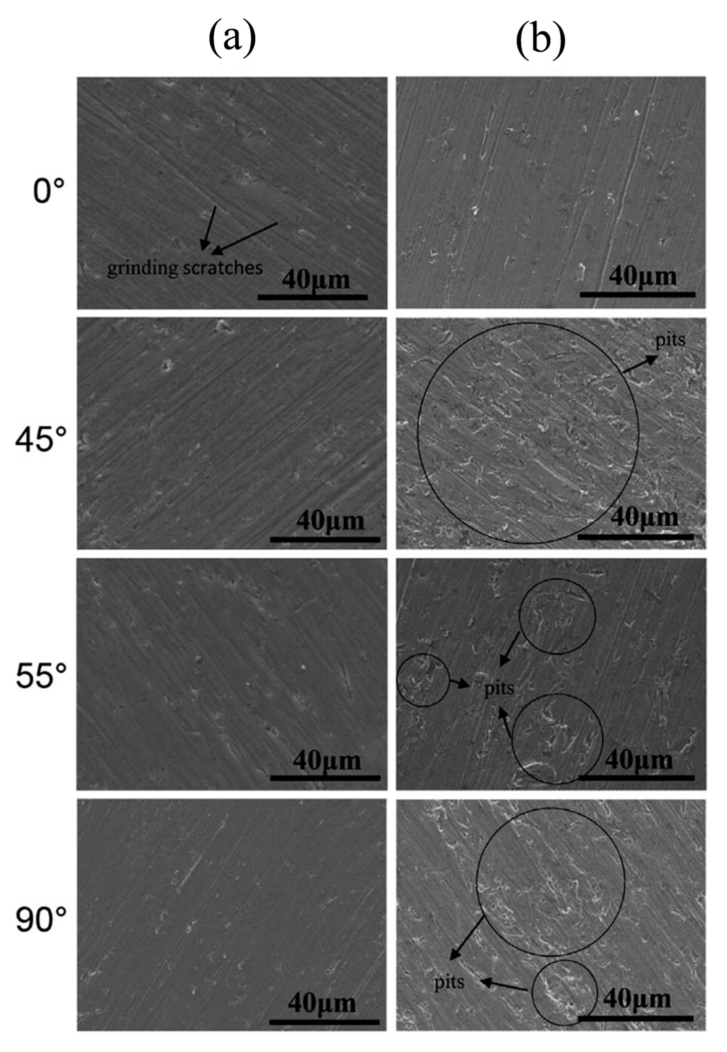 Metals 11 01391 g005