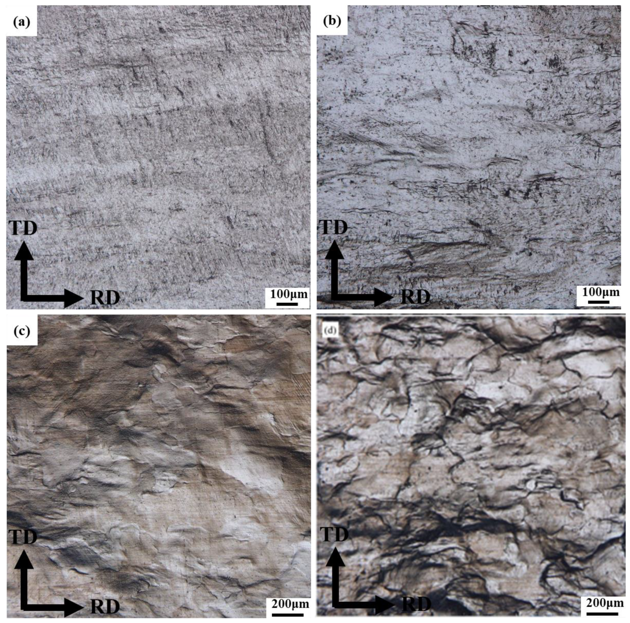 Metals 11 01406 g008