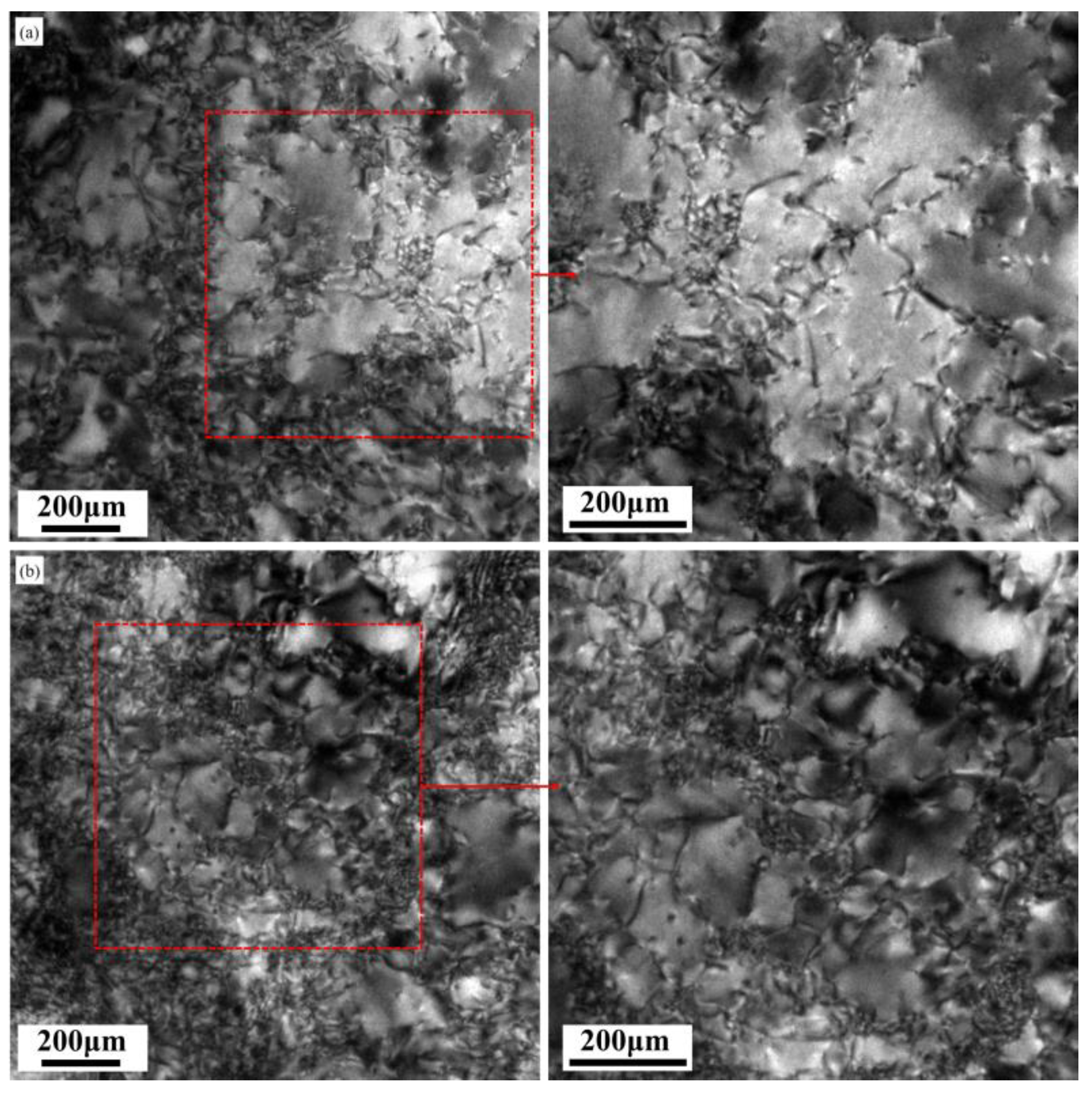 Metals 11 01406 g014