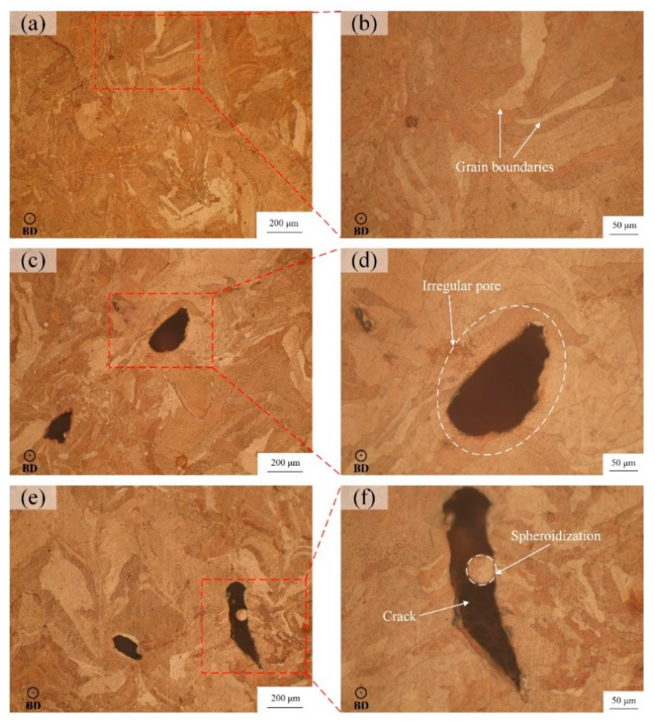 Metals 11 01410 g008