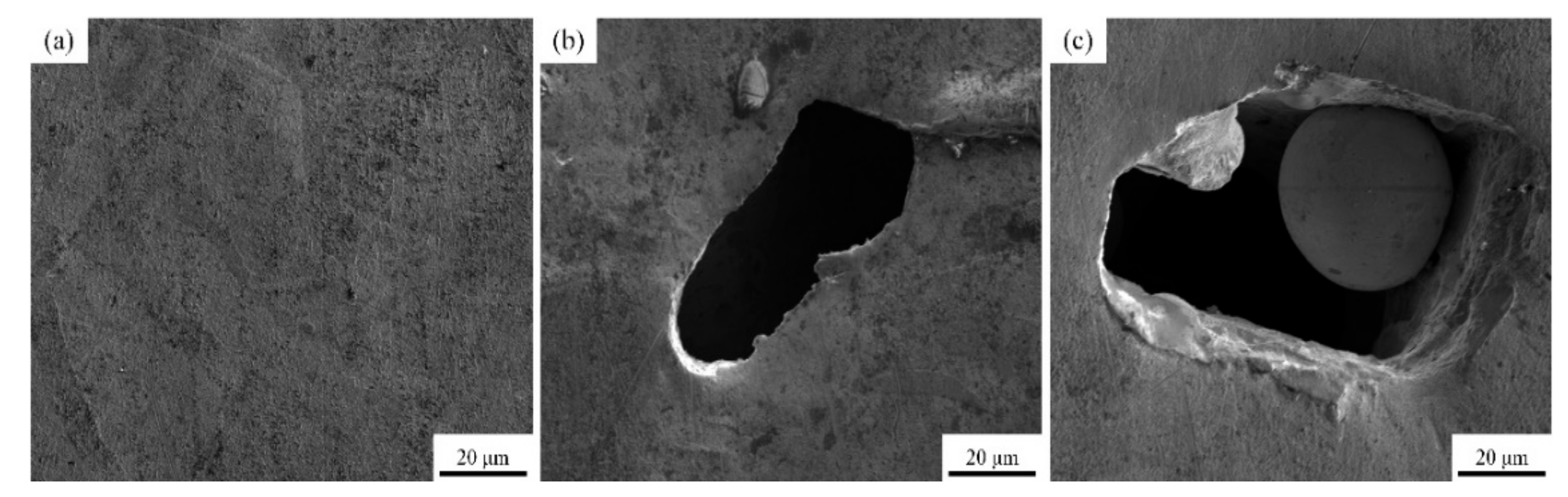 Metals 11 01410 g009