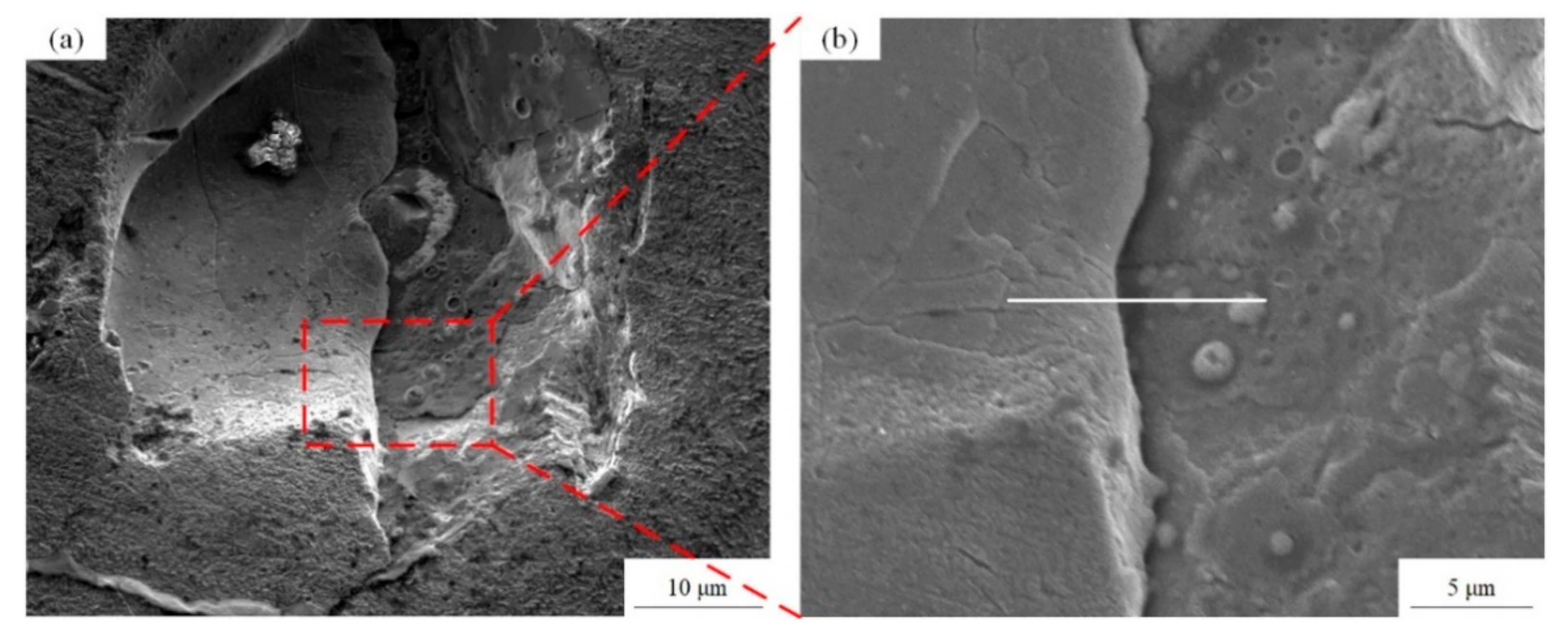 Metals 11 01410 g012