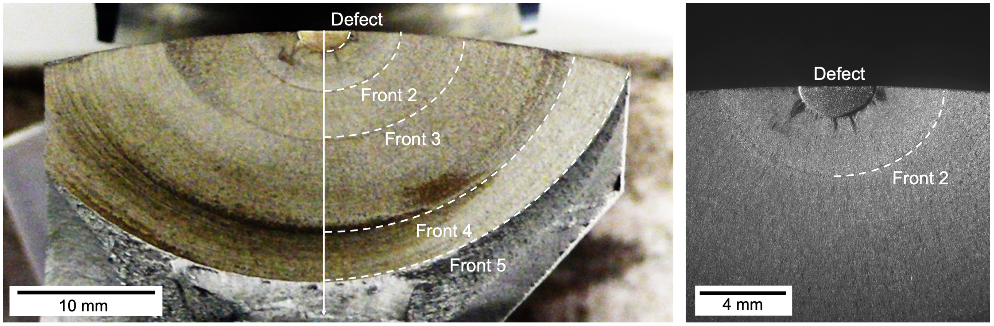 Metals 11 01427 g004