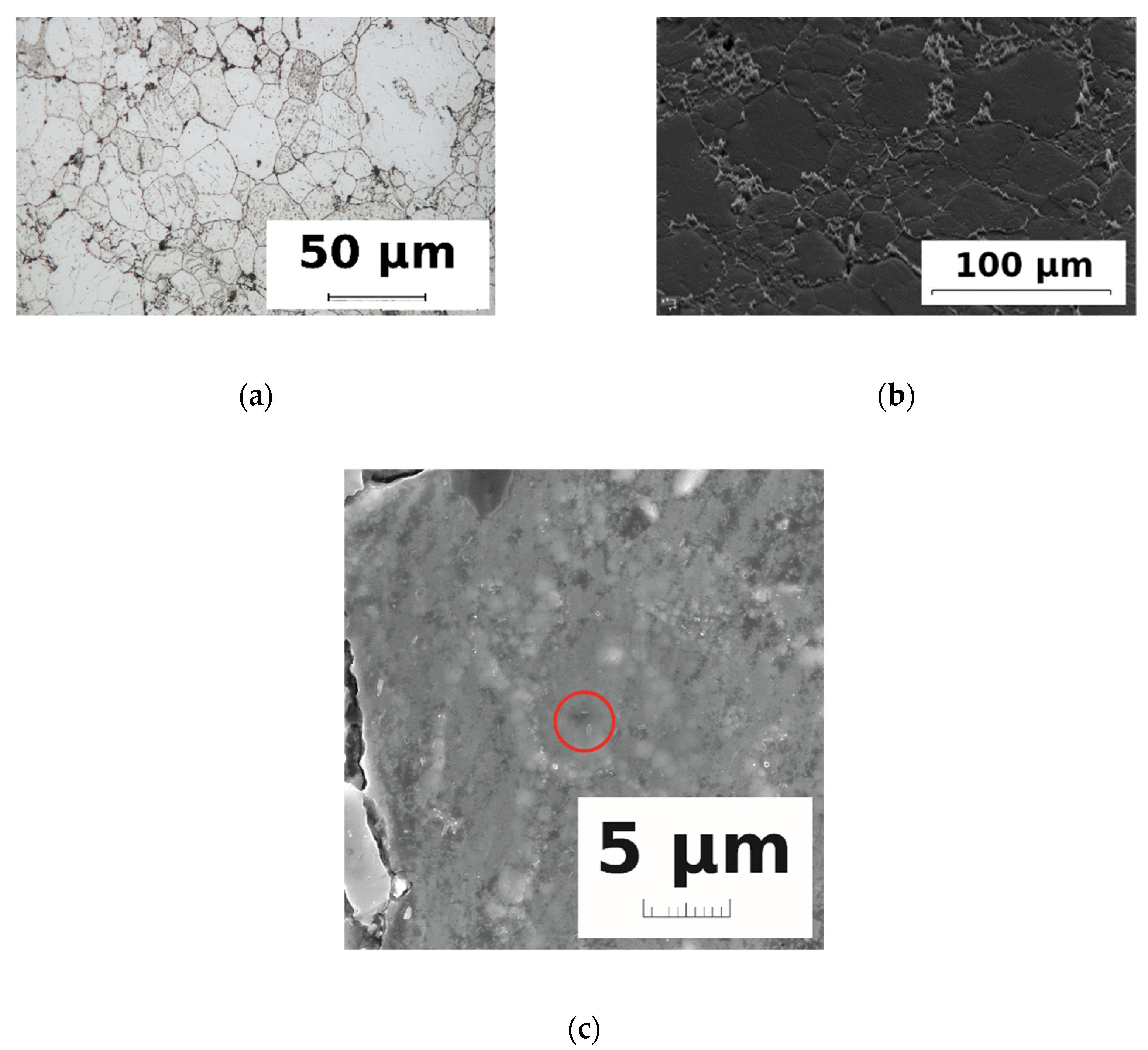 Metals 11 01433 g001