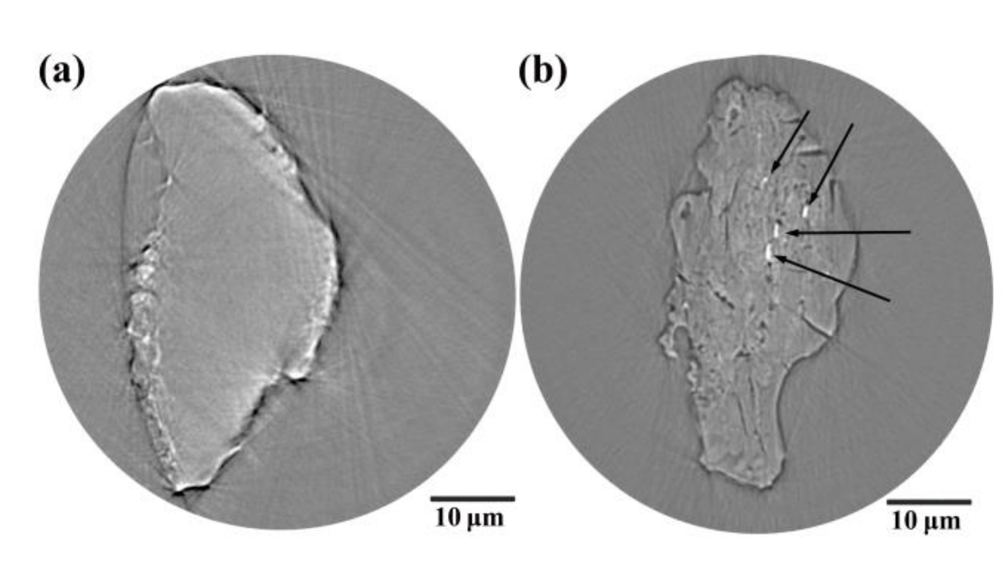 Metals 11 01435 g010