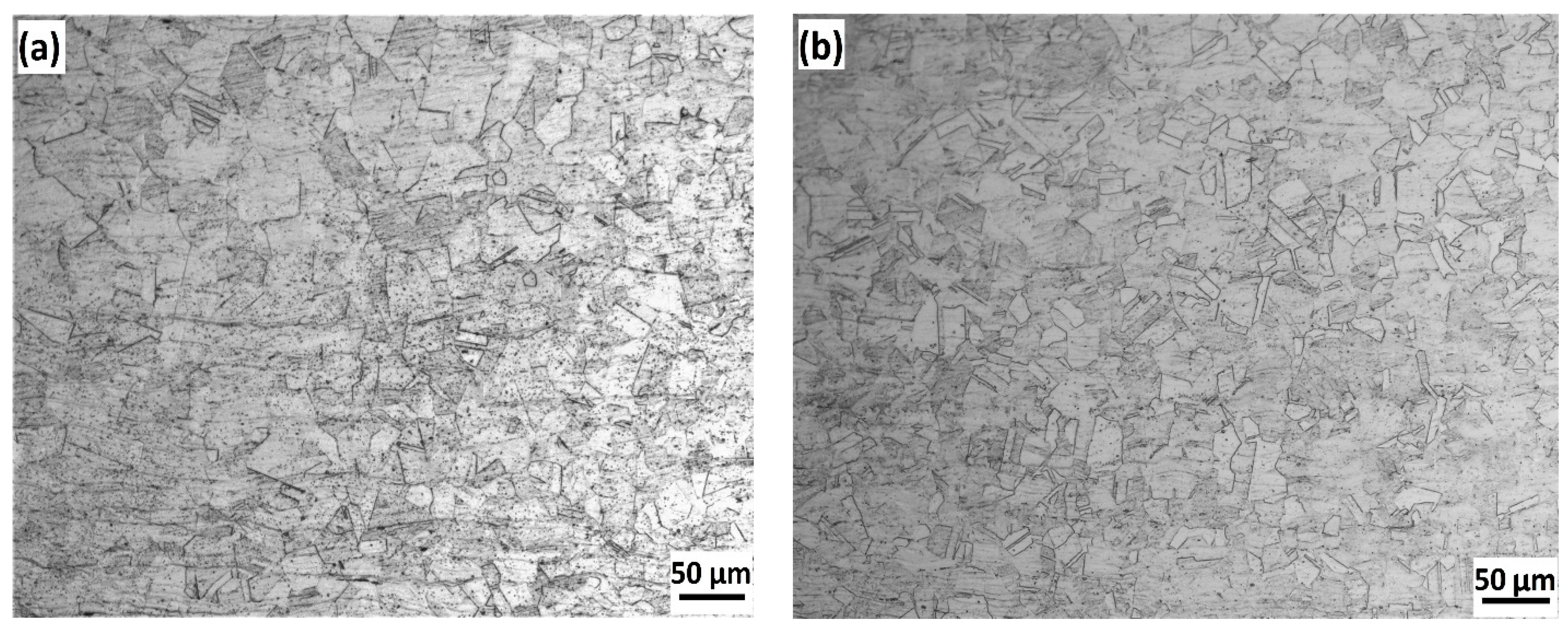 Metals 11 01439 g003