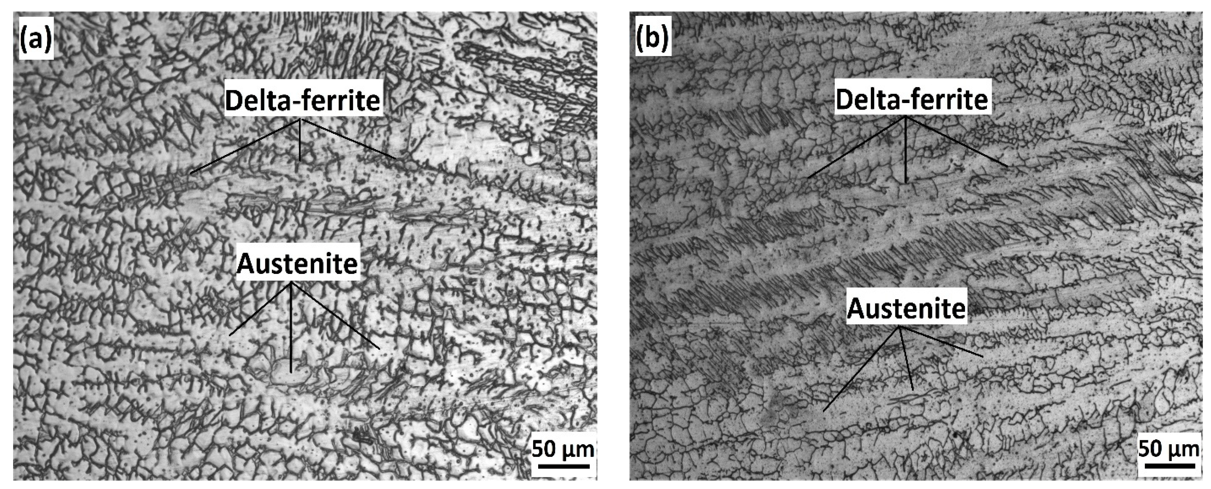 Metals 11 01439 g004