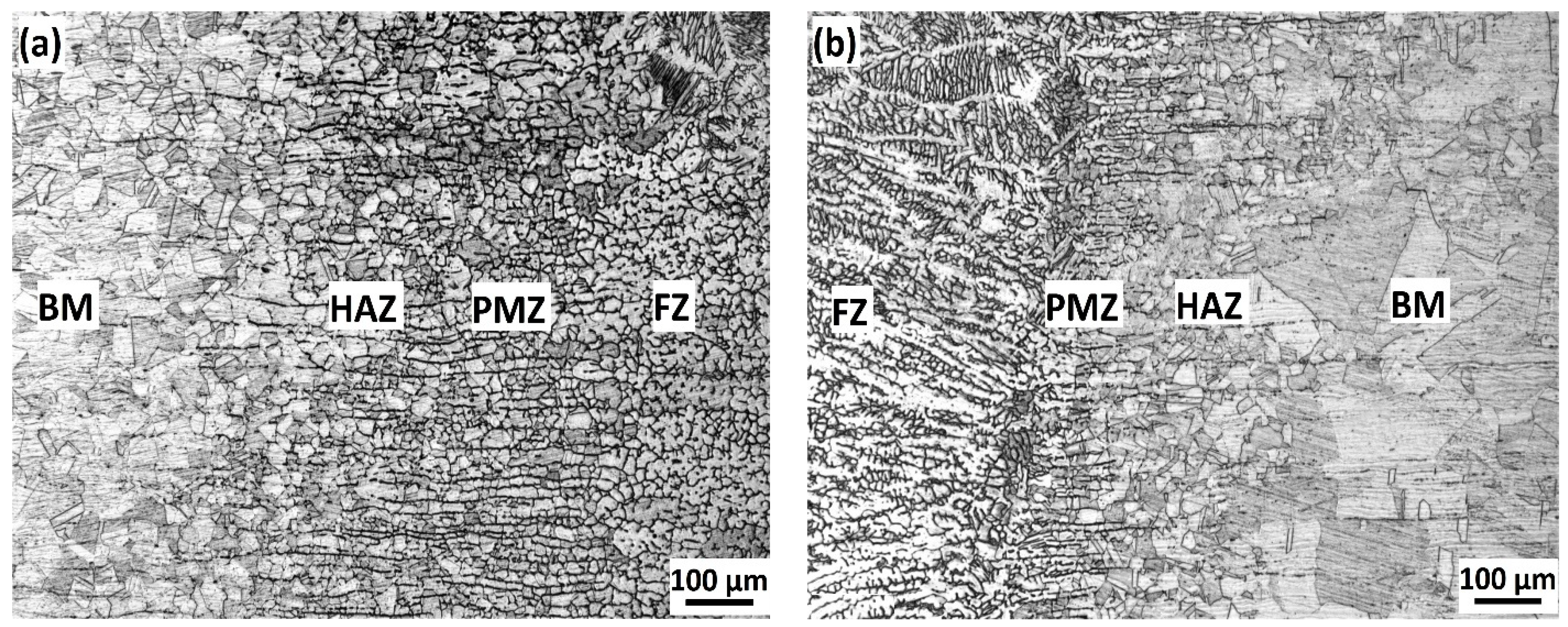 Metals 11 01439 g005