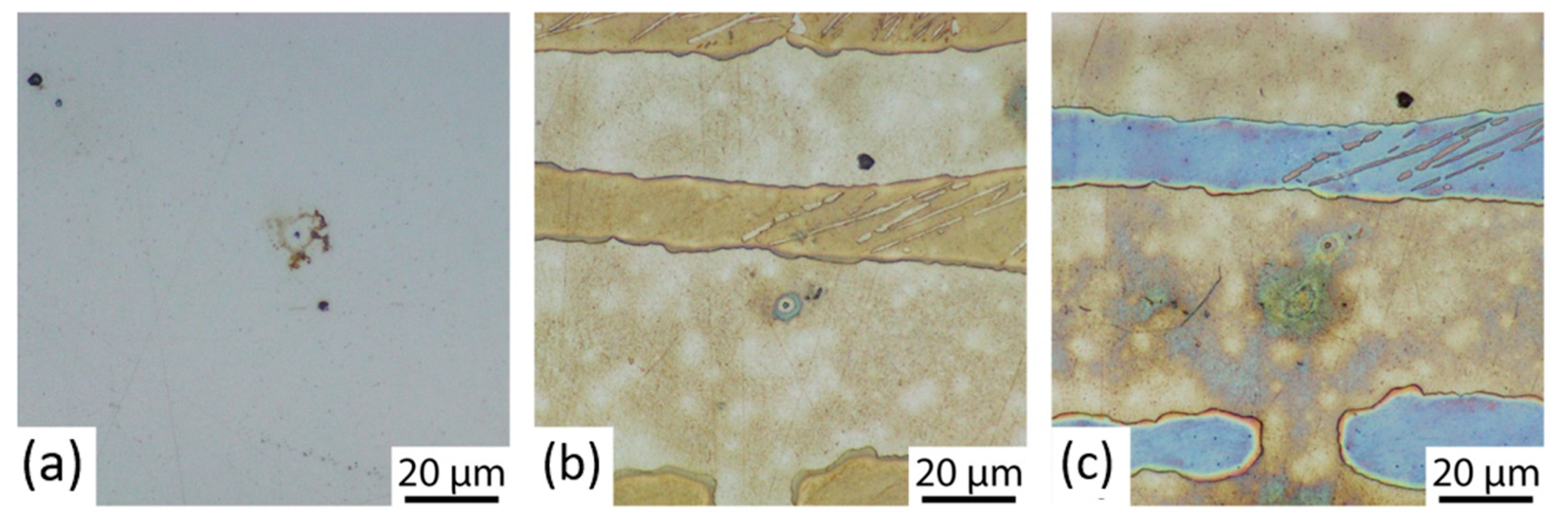 Metals 11 01446 g009