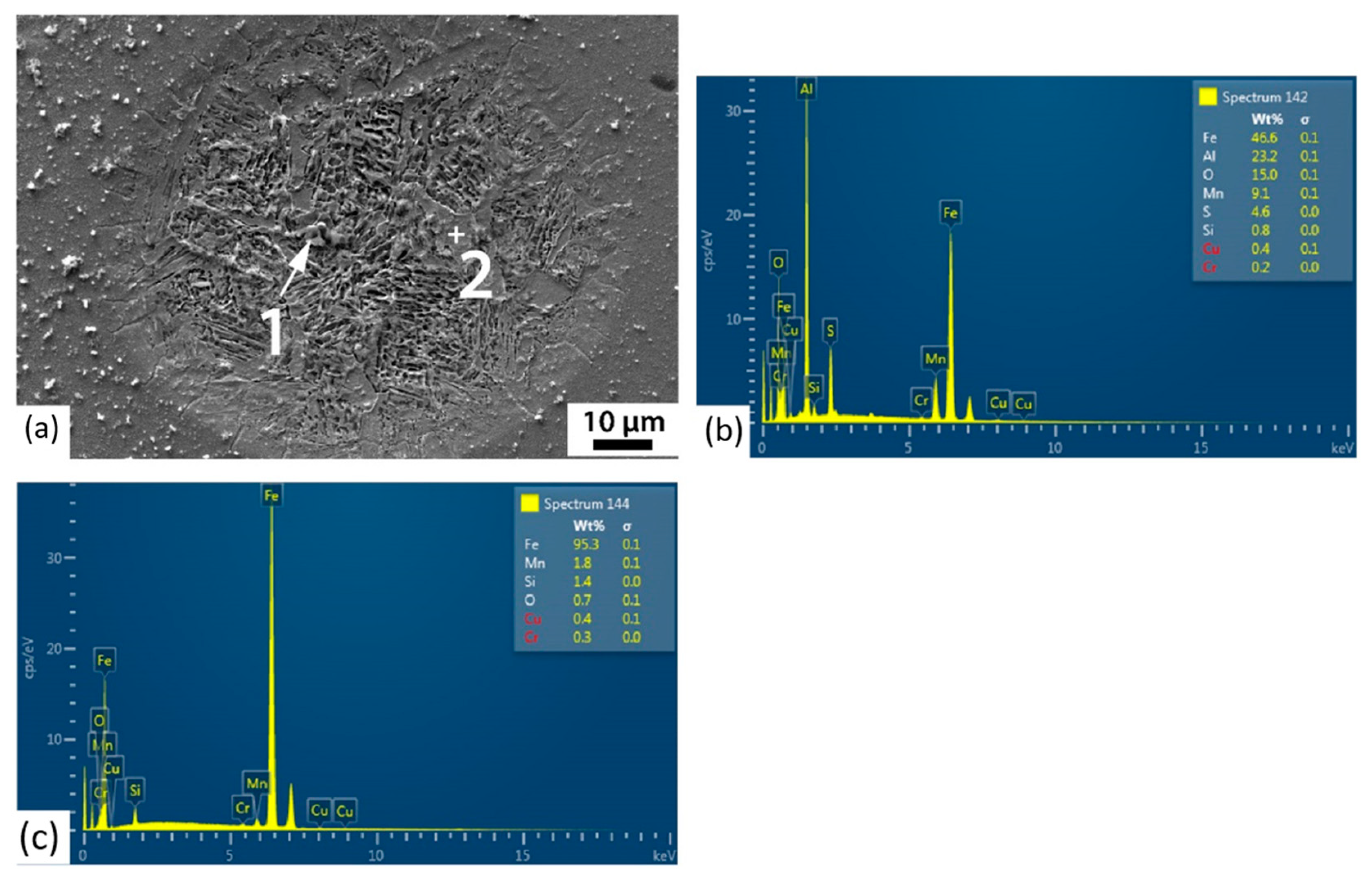 Metals 11 01446 g012