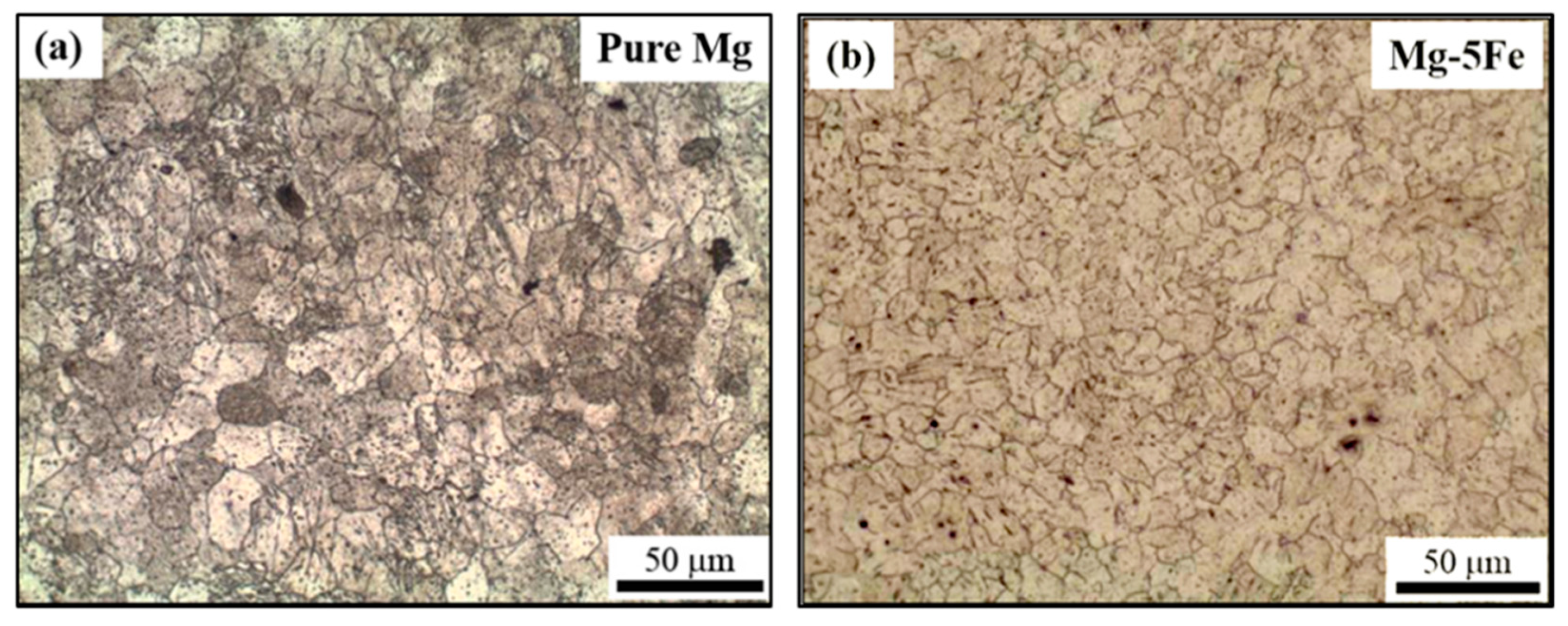 Metals 11 01448 g003