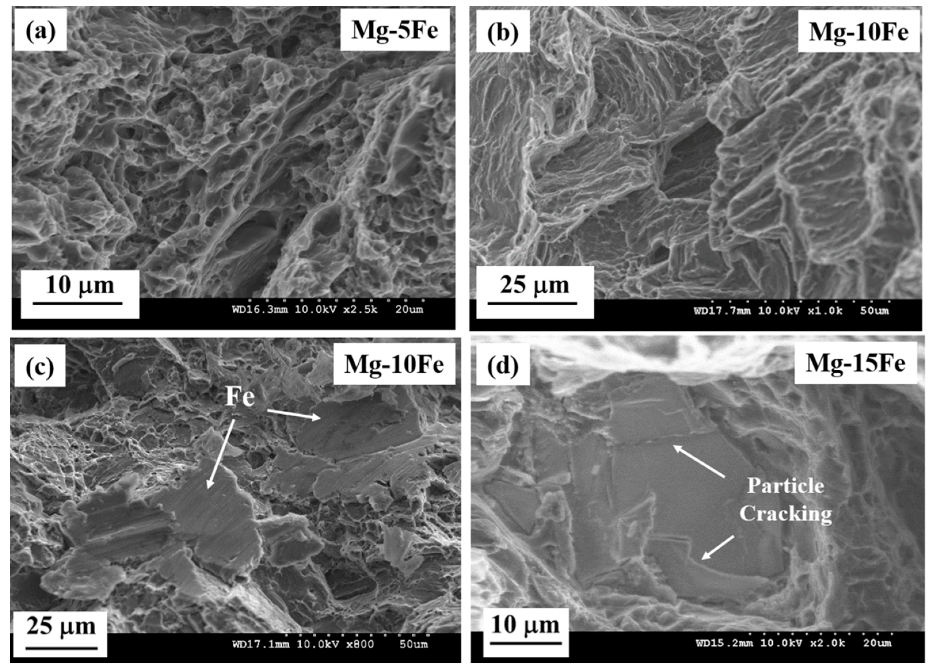 Metals 11 01448 g007