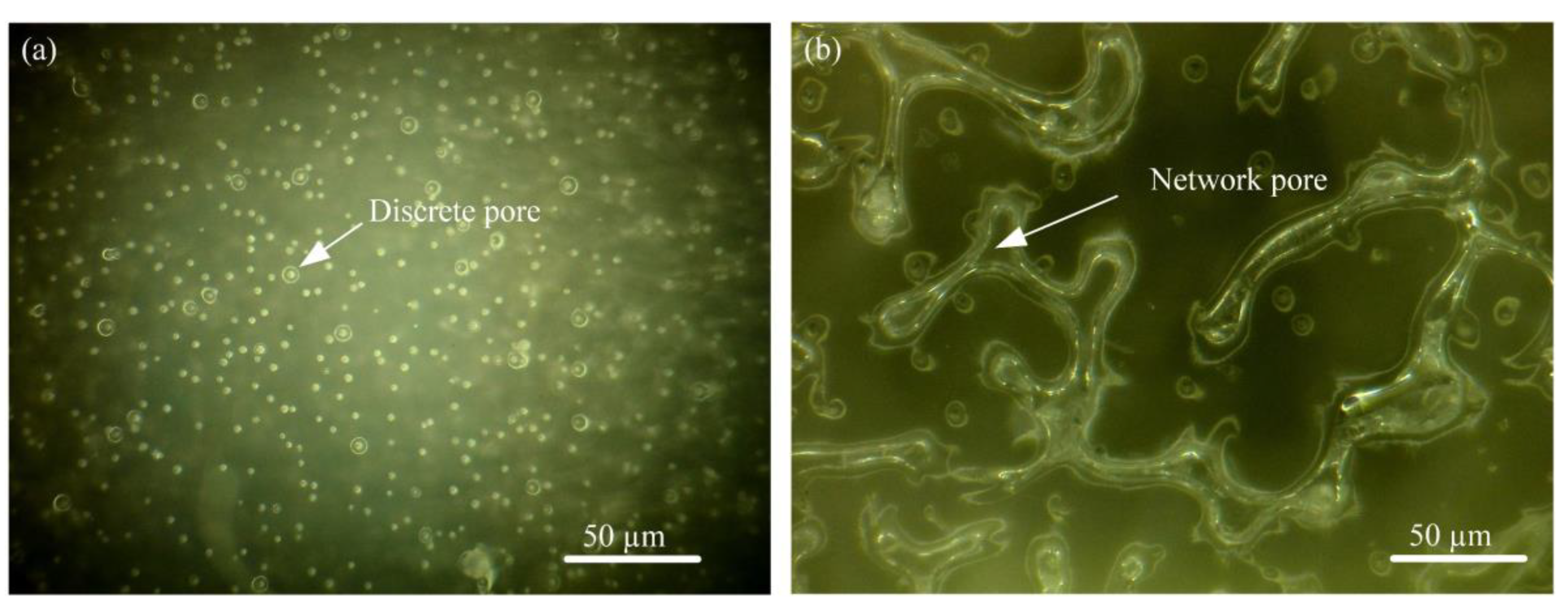 Metals 11 01495 g004