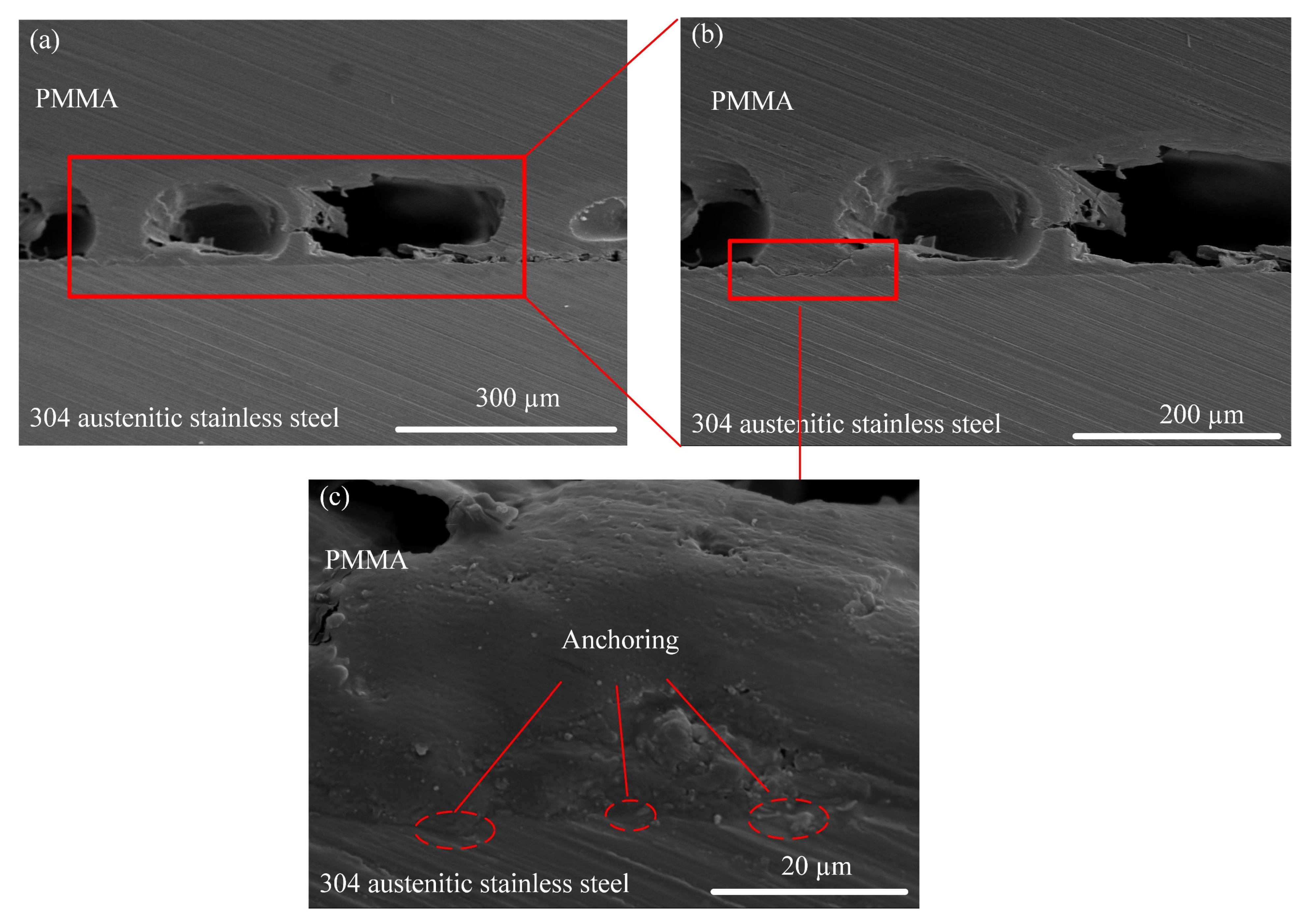 Metals 11 01495 g009