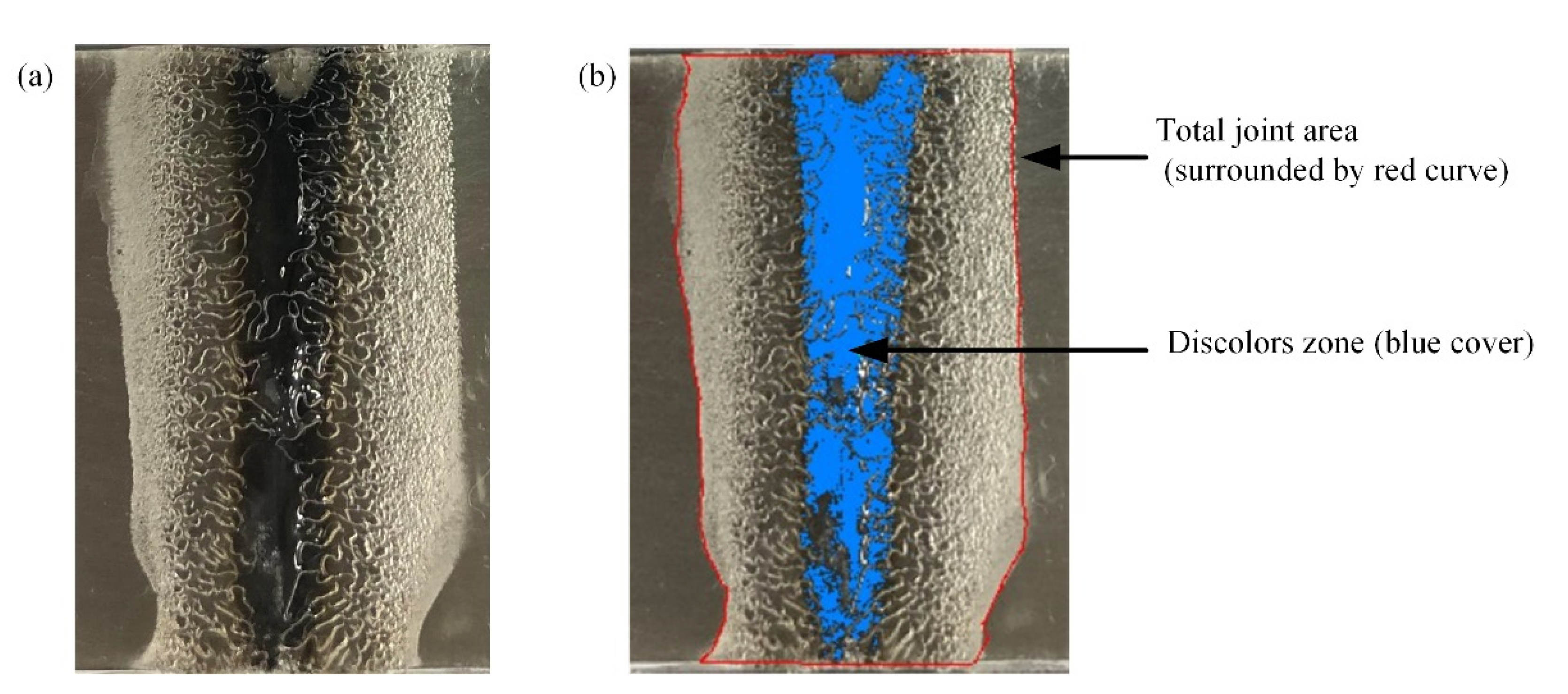 Metals 11 01495 g011