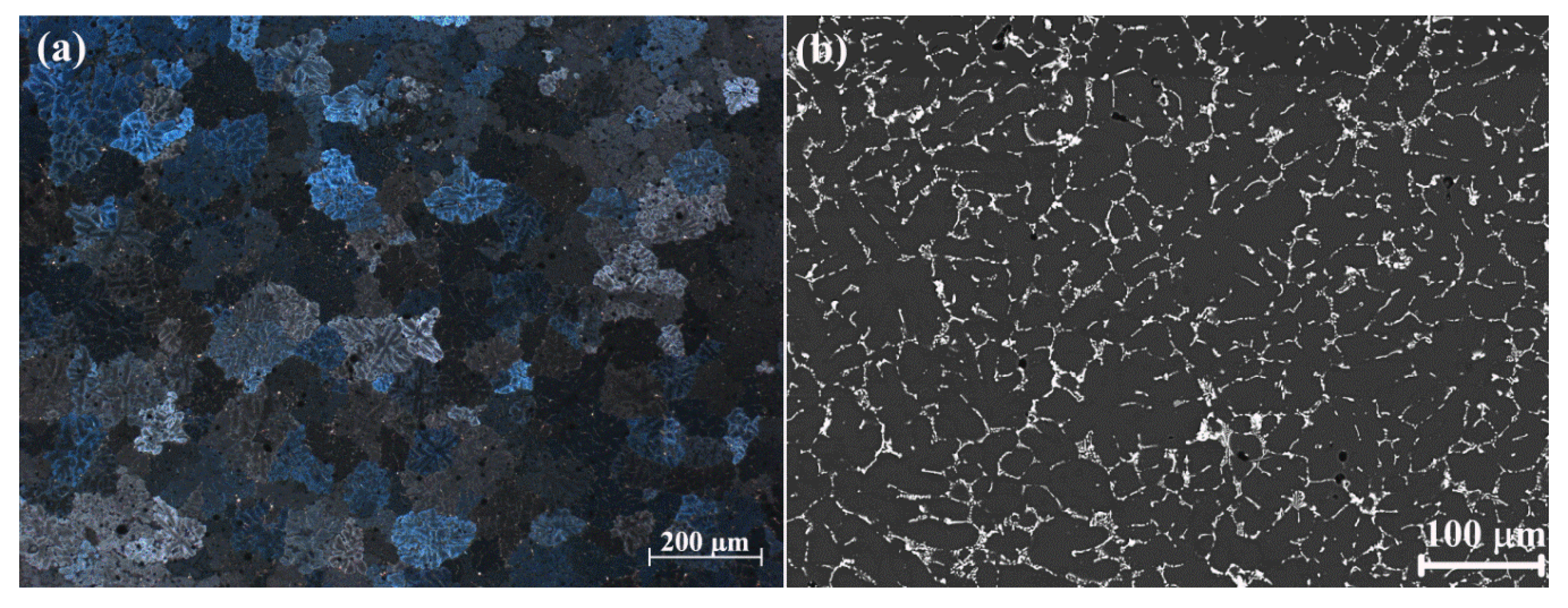 Metals 11 01521 g001