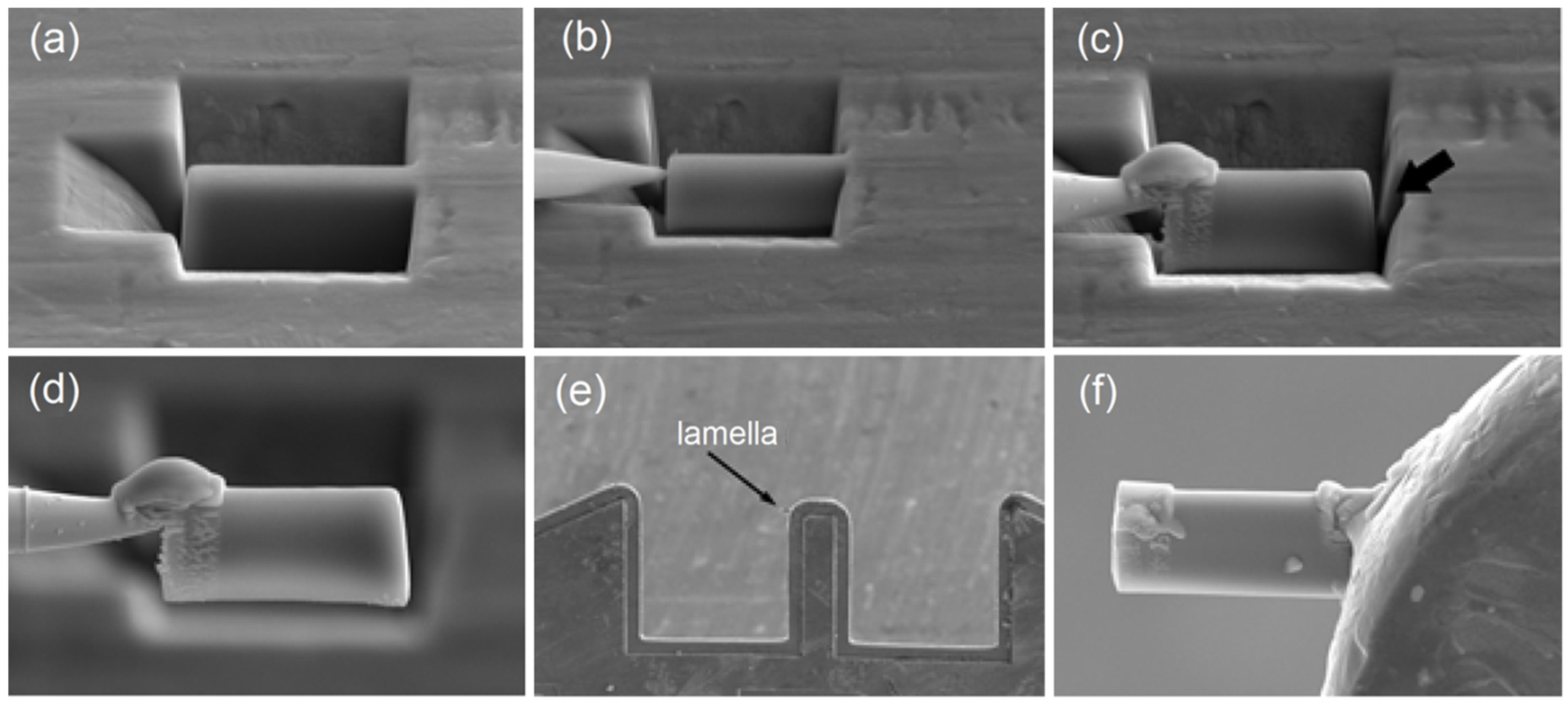 Metals 11 01528 g001