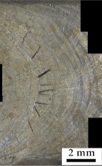 Metals 11 01540 i004