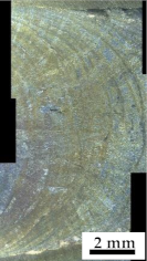 Metals 11 01540 i011