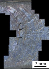 Metals 11 01540 i012