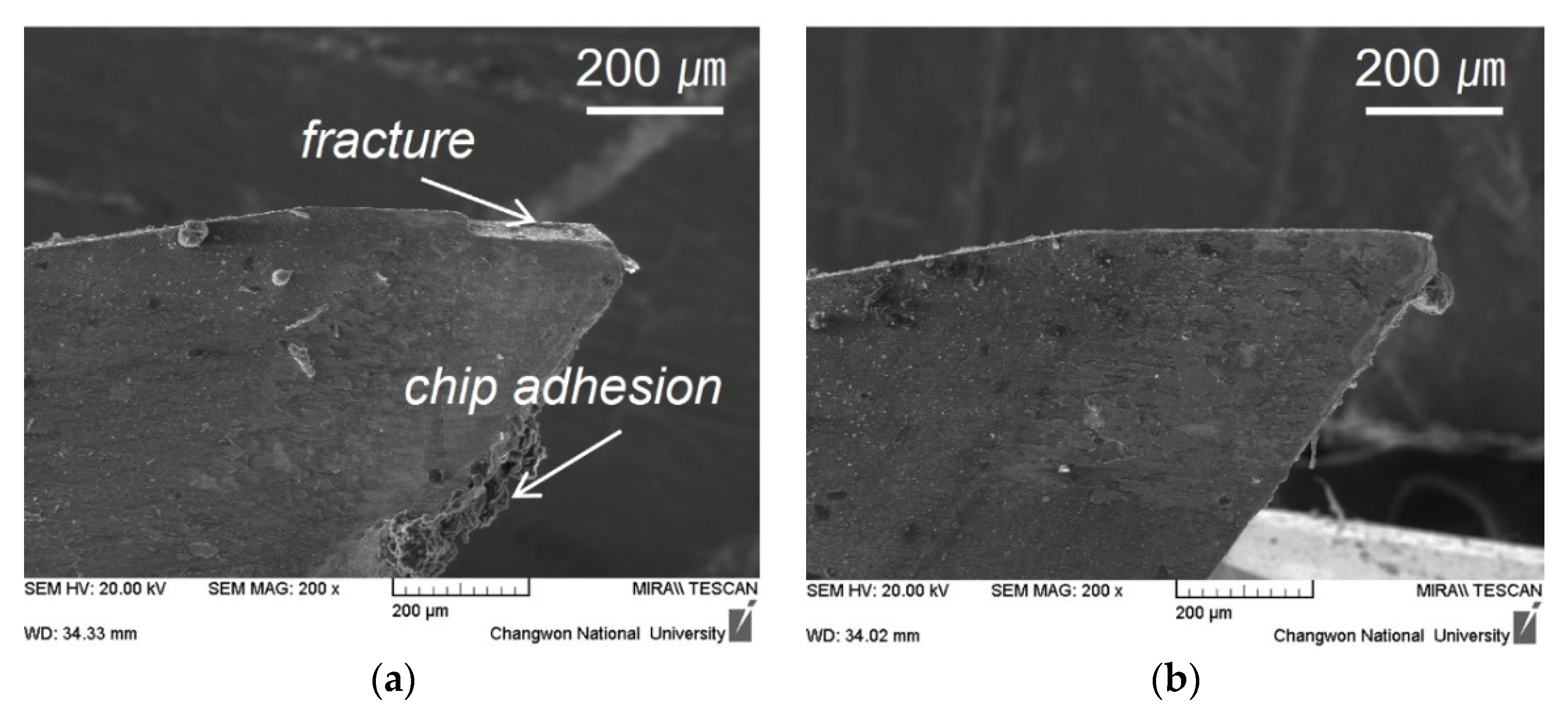 Metals 11 01552 g010