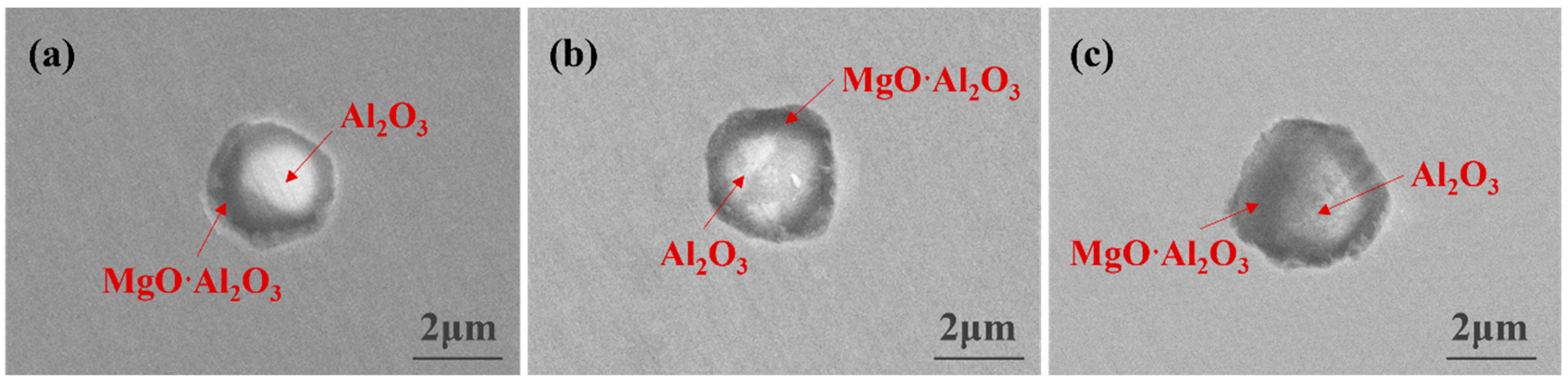 Metals 11 01560 g002