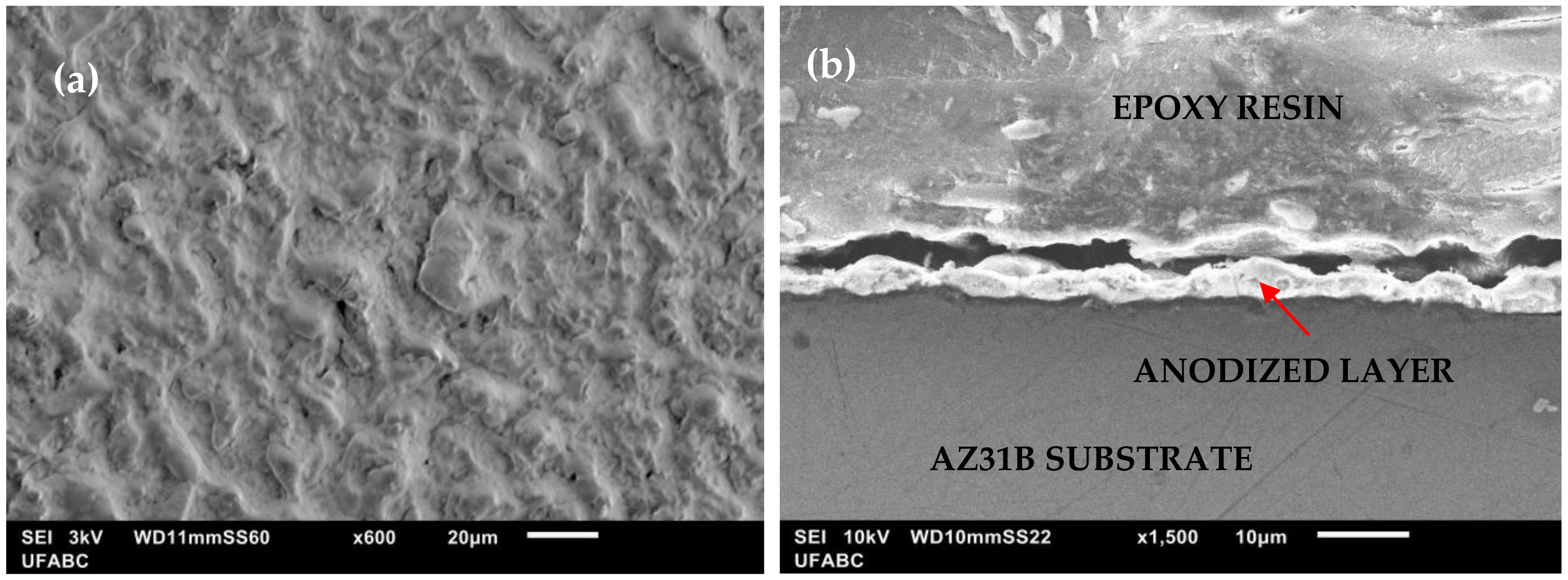 Metals 11 01573 g002